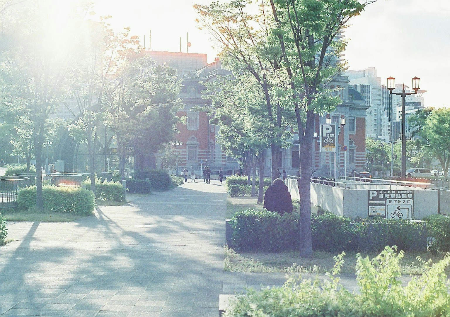 Bright park scene with green trees and paved pathway