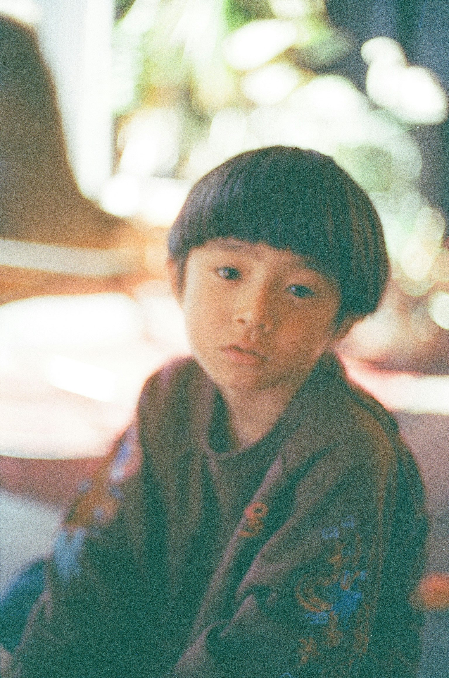 若い男の子がカジュアルな服装で座っている柔らかい光の中でのポートレート