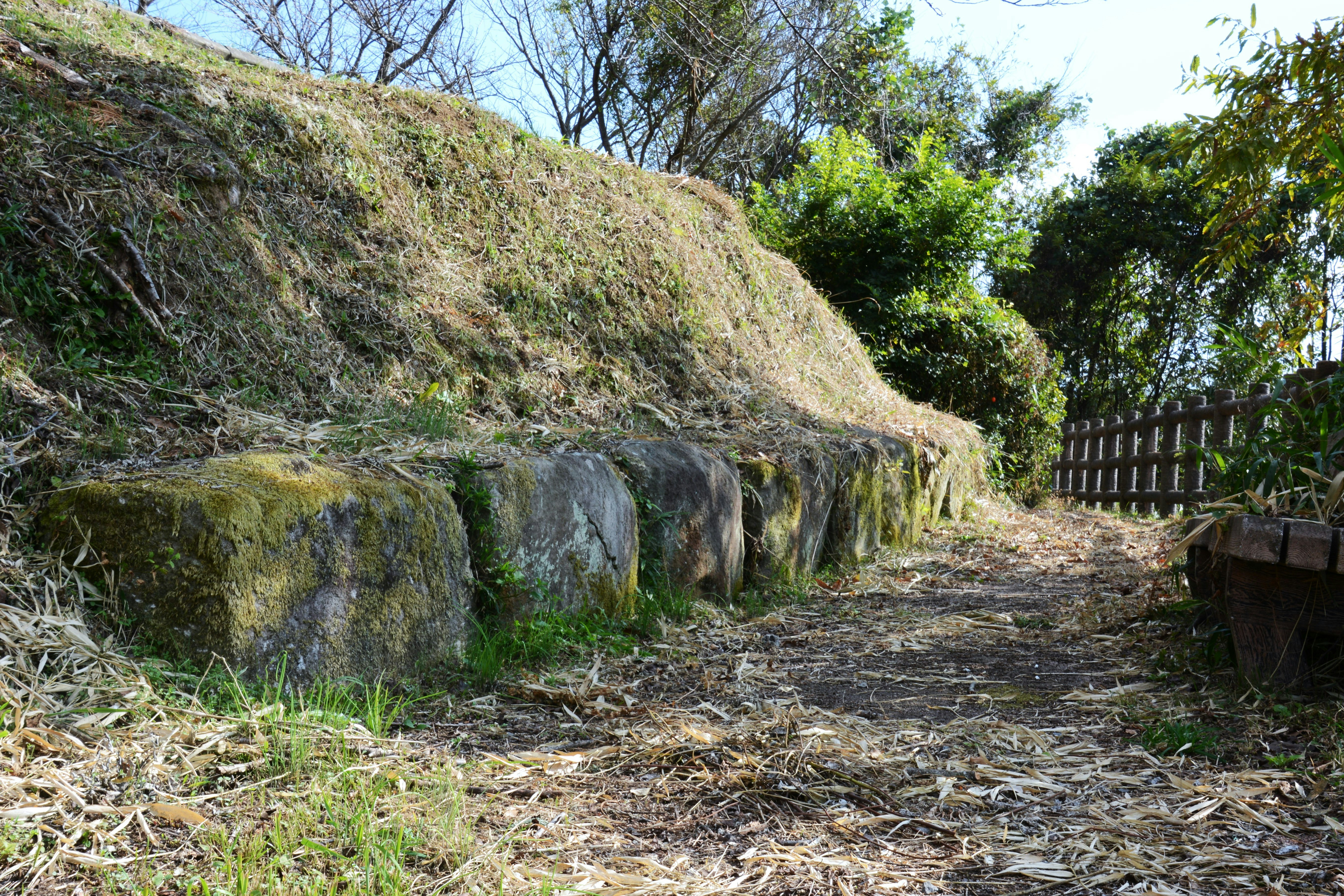 Moosbewachsener Steinwall und grasiger Pfad an einem Hang