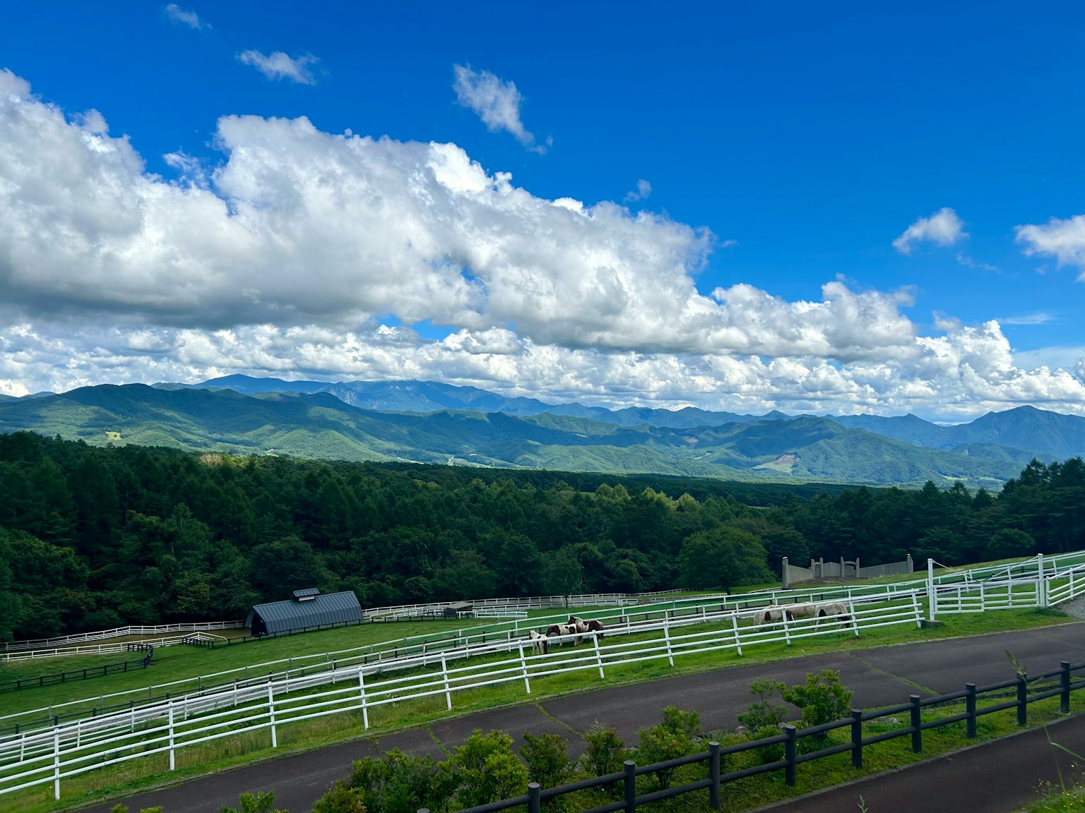 Vista panoramica di montagne verdi e un ranch sotto un cielo blu con nuvole bianche
