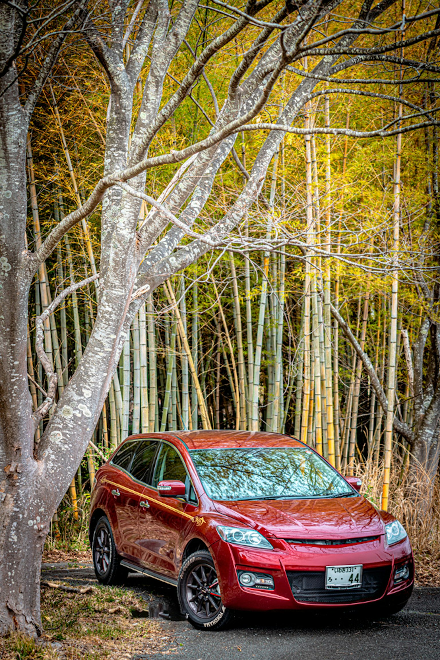 Un'auto rossa parcheggiata in una foresta di bambù