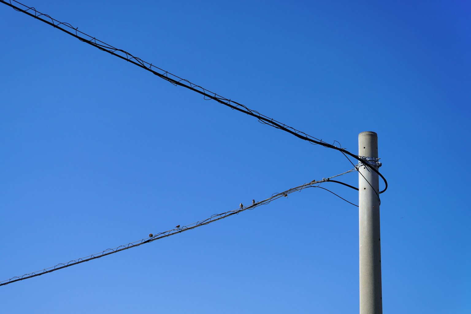 Pemandangan sederhana tiang listrik dengan kabel di latar belakang langit biru