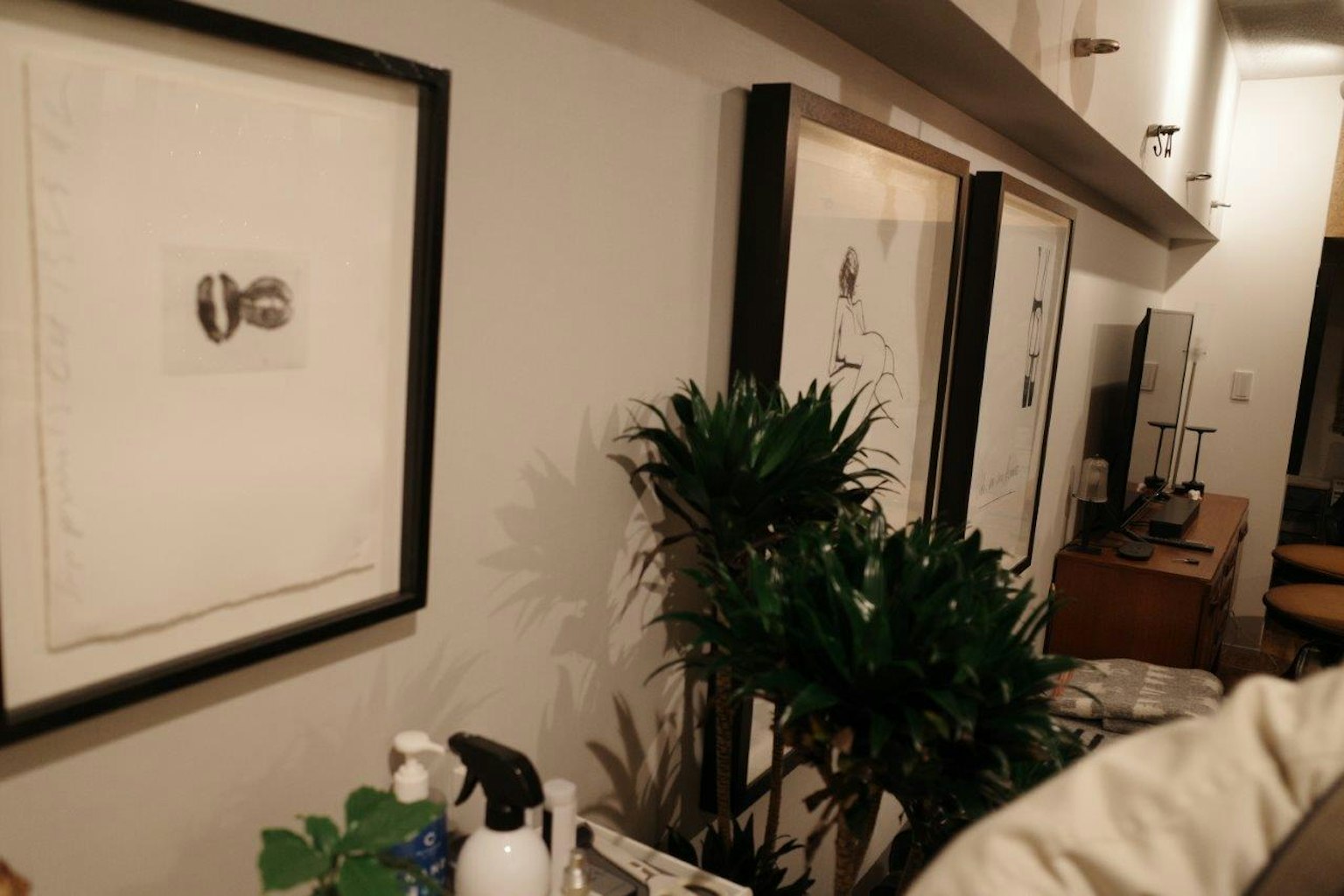 Esquina interior con arte enmarcado y una planta en maceta