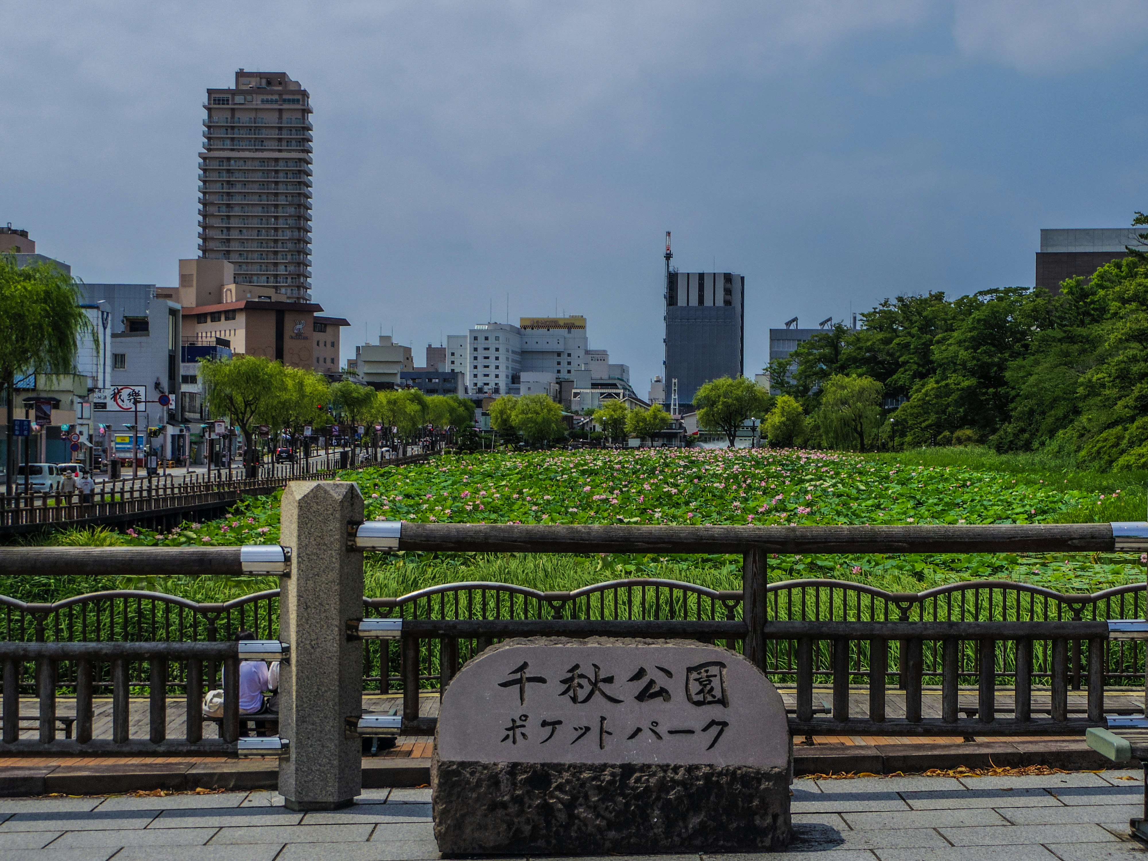 公園圍欄與刻有「Chiaki Park Potato Bank」的石碑，城市綠意與高樓在遠處