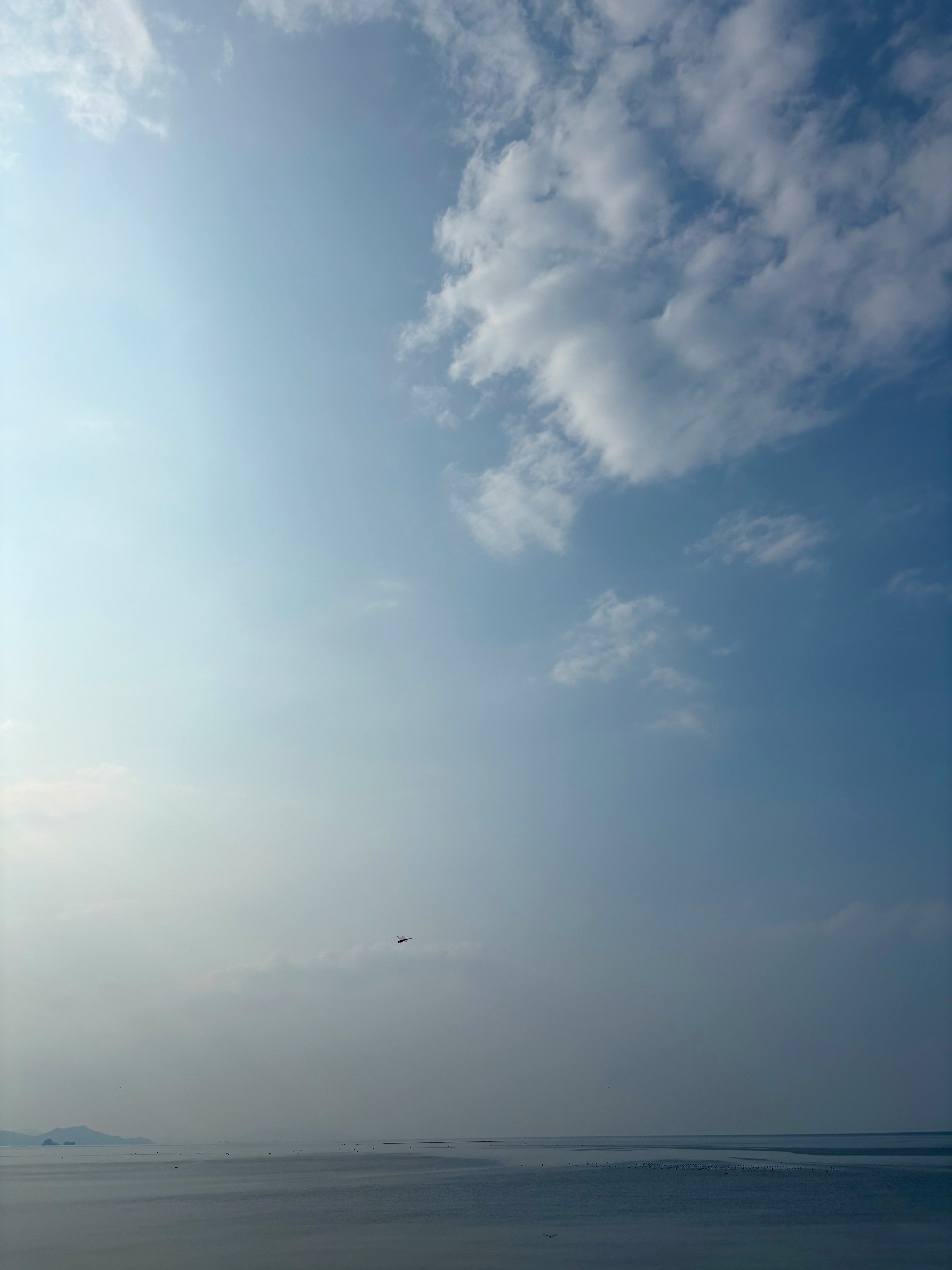 青い空と海、水平線に広がる雲と自然の風景