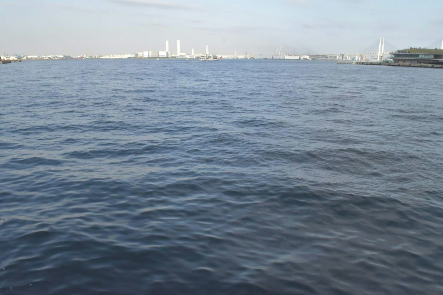 Superficie di mare calma con lo skyline di una città sullo sfondo