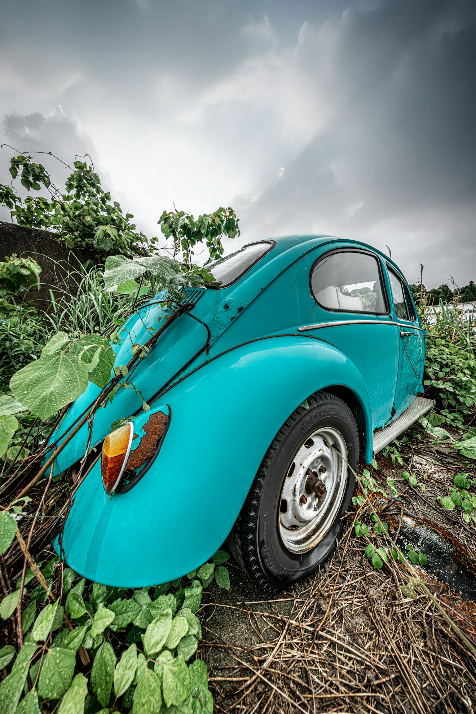 Seitenansicht eines blauen Käferautos umgeben von grünen Pflanzen