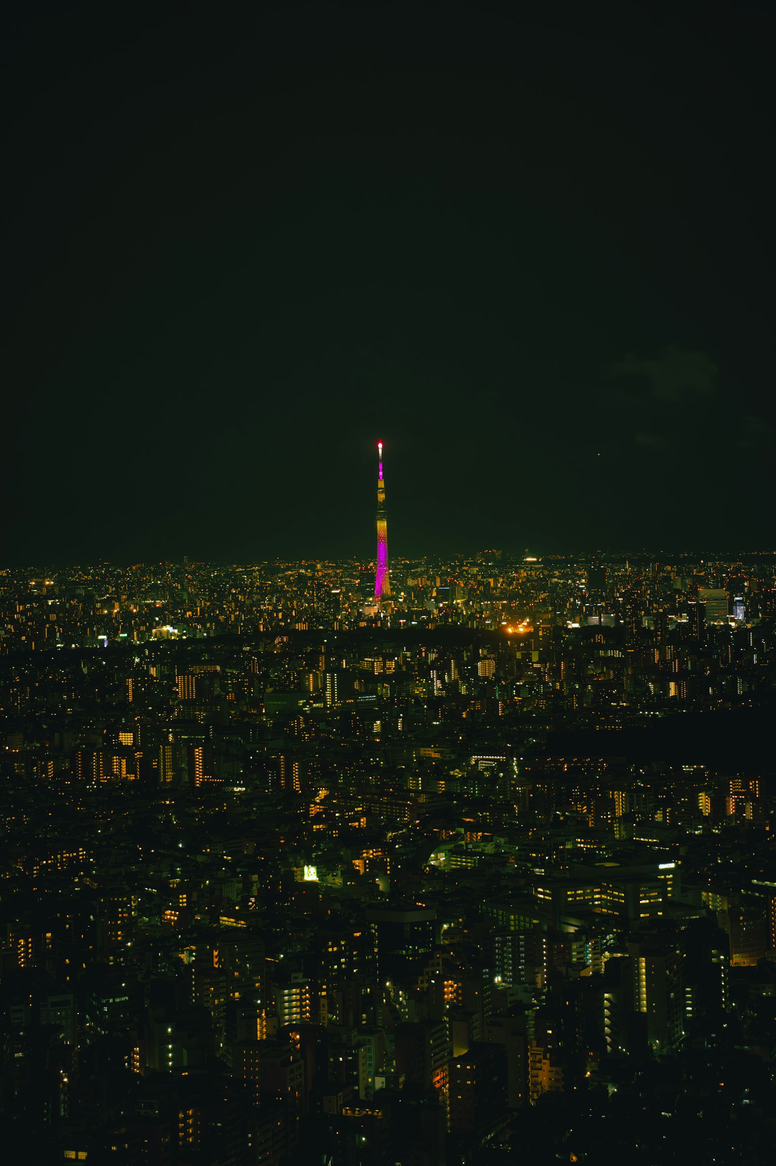 밤에 조명이 비치는 도쿄 타워와 광활한 도시 풍경