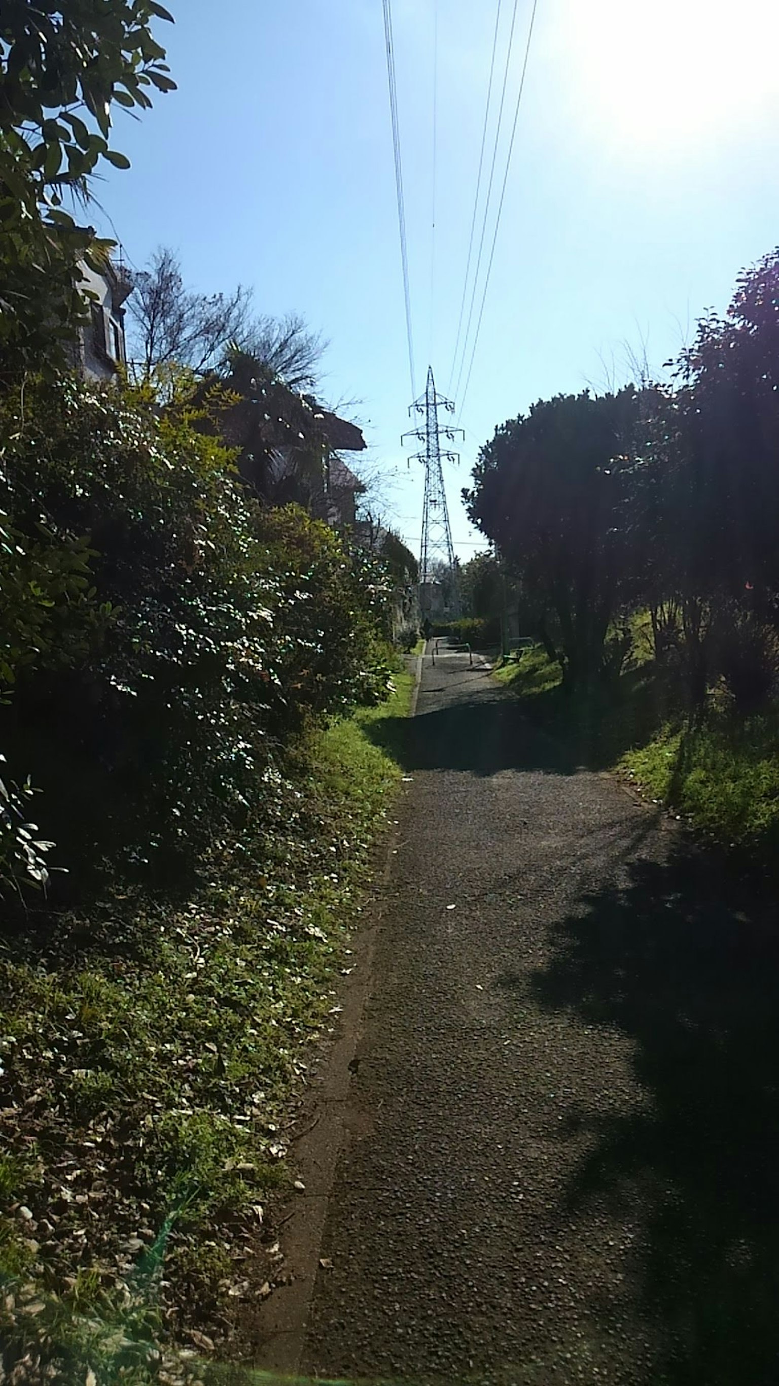 Un camino pintoresco rodeado de vegetación y un poste eléctrico bajo un cielo azul claro