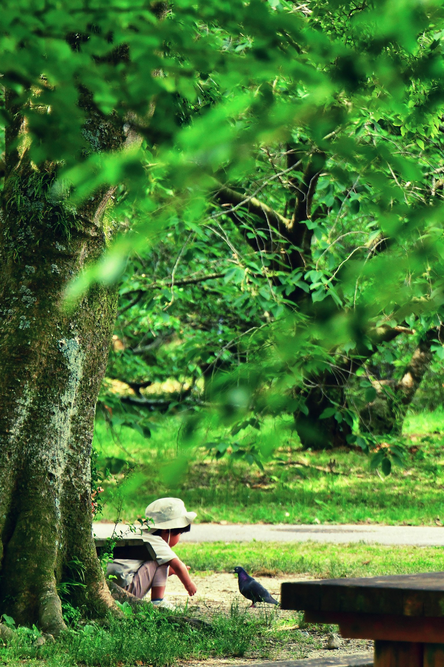 A child playing in a lush green park near a bird