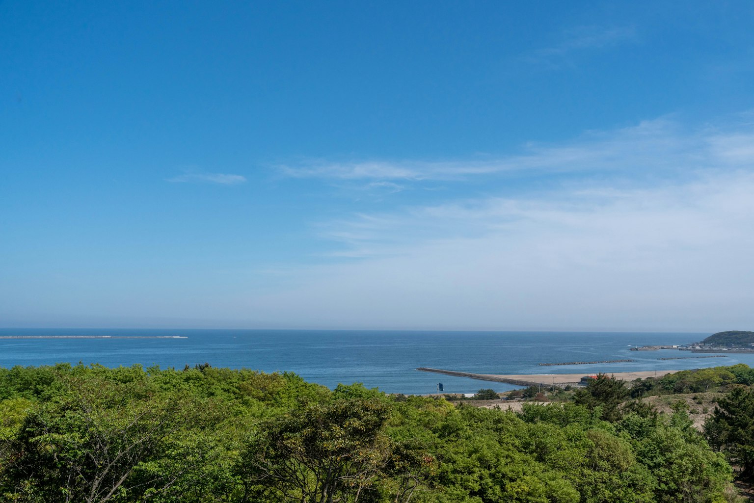 Vue panoramique d'un ciel bleu et de l'océan avec des arbres verts luxuriants au premier plan