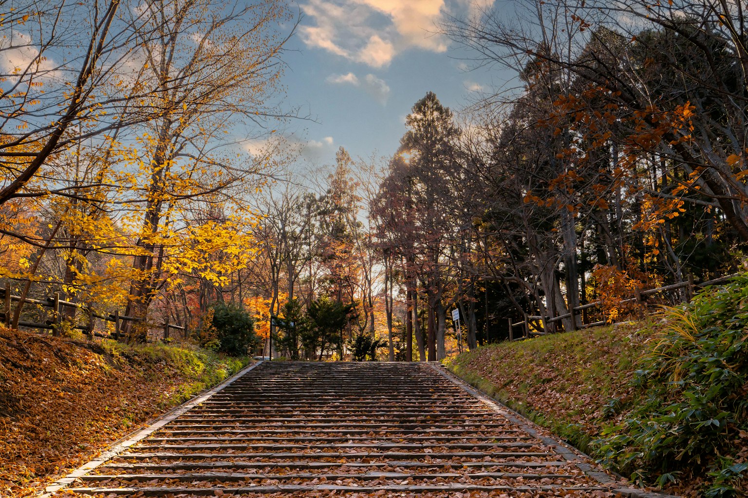 Escalera rodeada de árboles de otoño y cielo azul