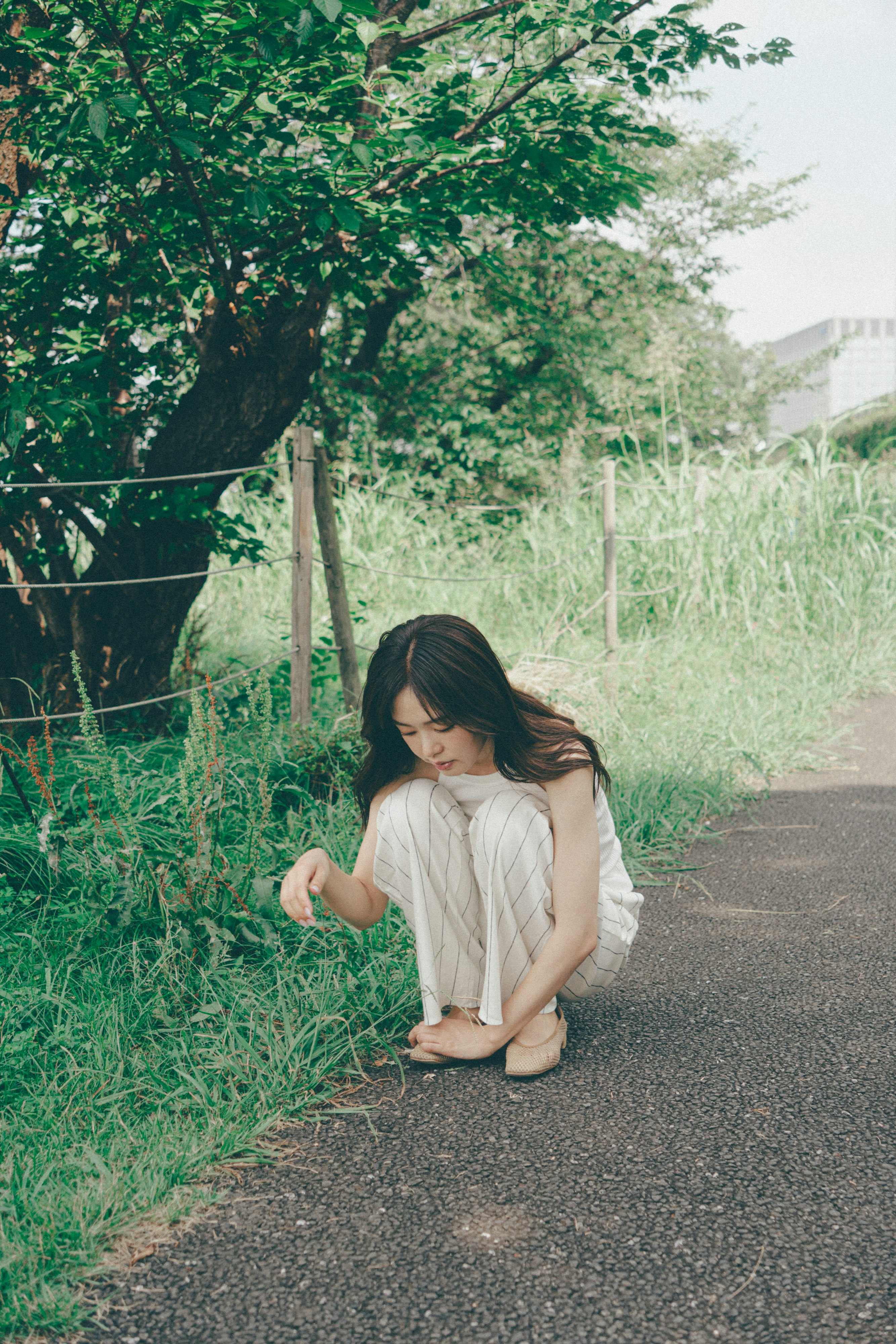 蹲在高草旁的女性侧脸