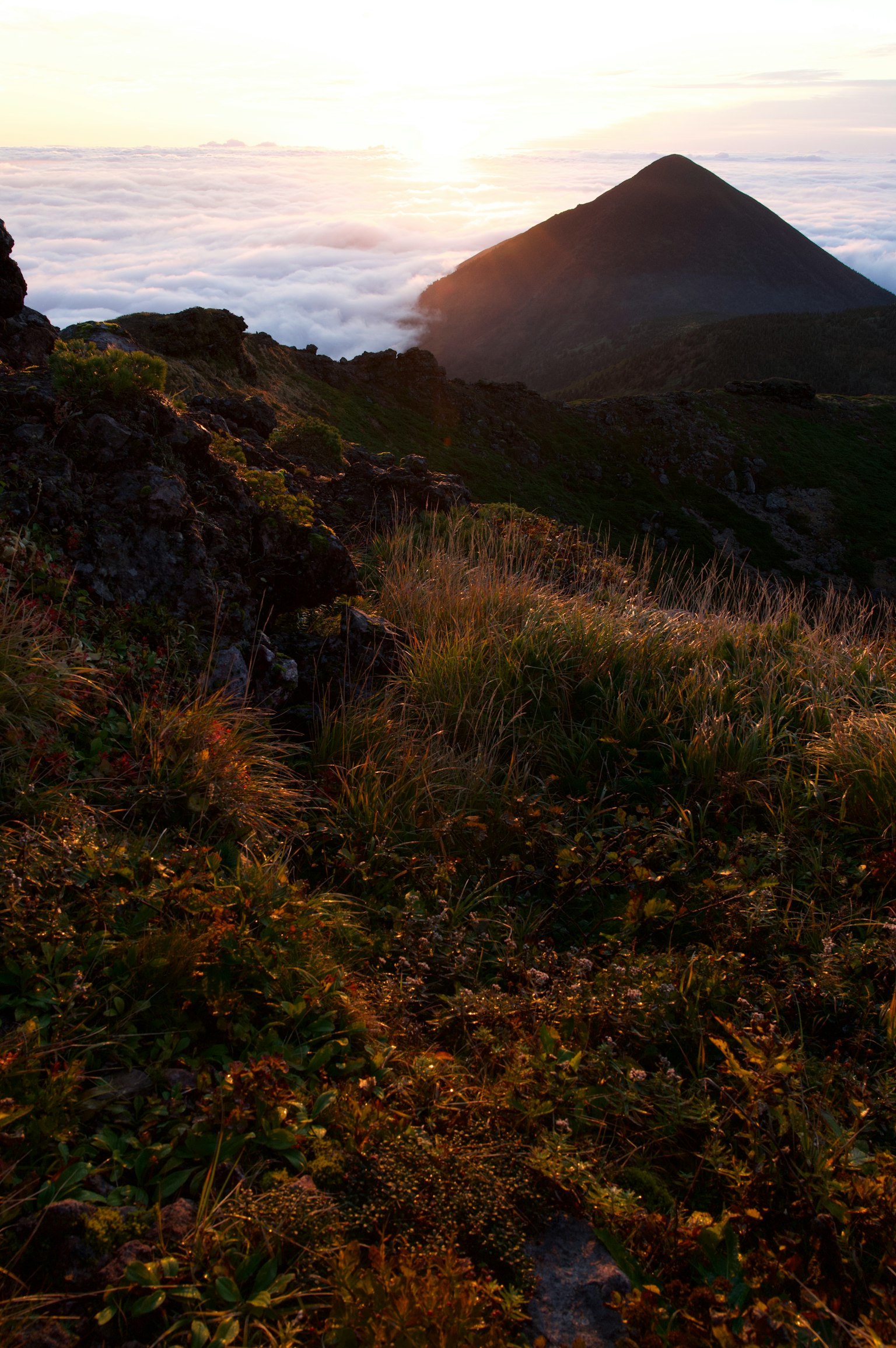 Paysage de montagne avec de l'herbe et des rochers au coucher de soleil