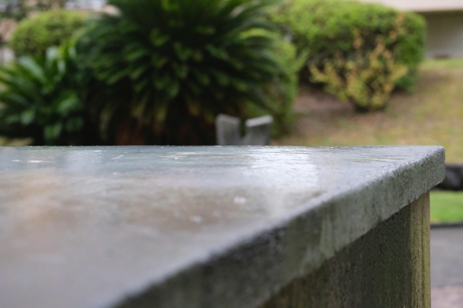 Meja beton basah dengan latar belakang tanaman hijau
