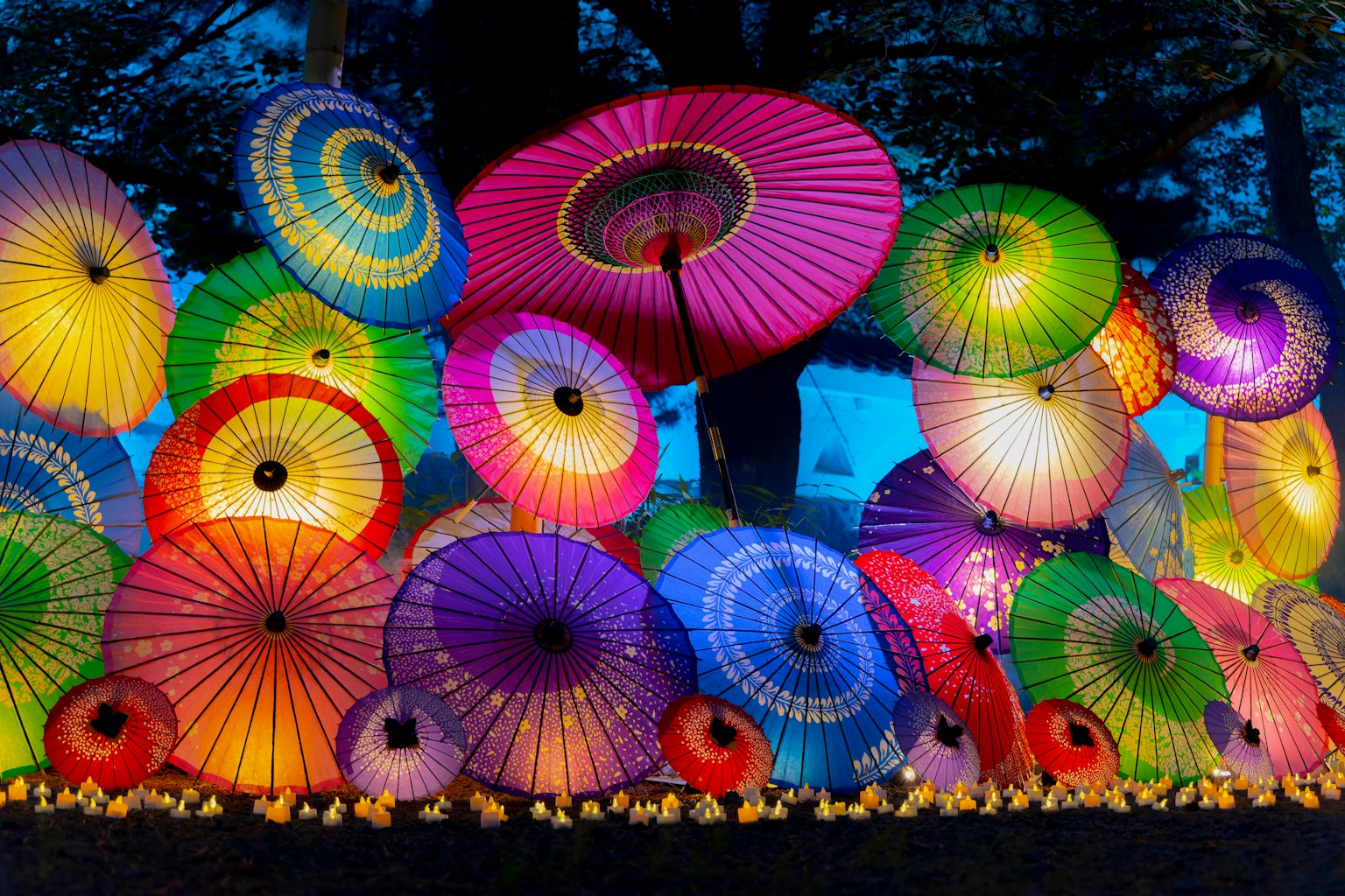 การจัดแสดงร่มสีสันสดใสที่สว่างในเวลากลางคืน