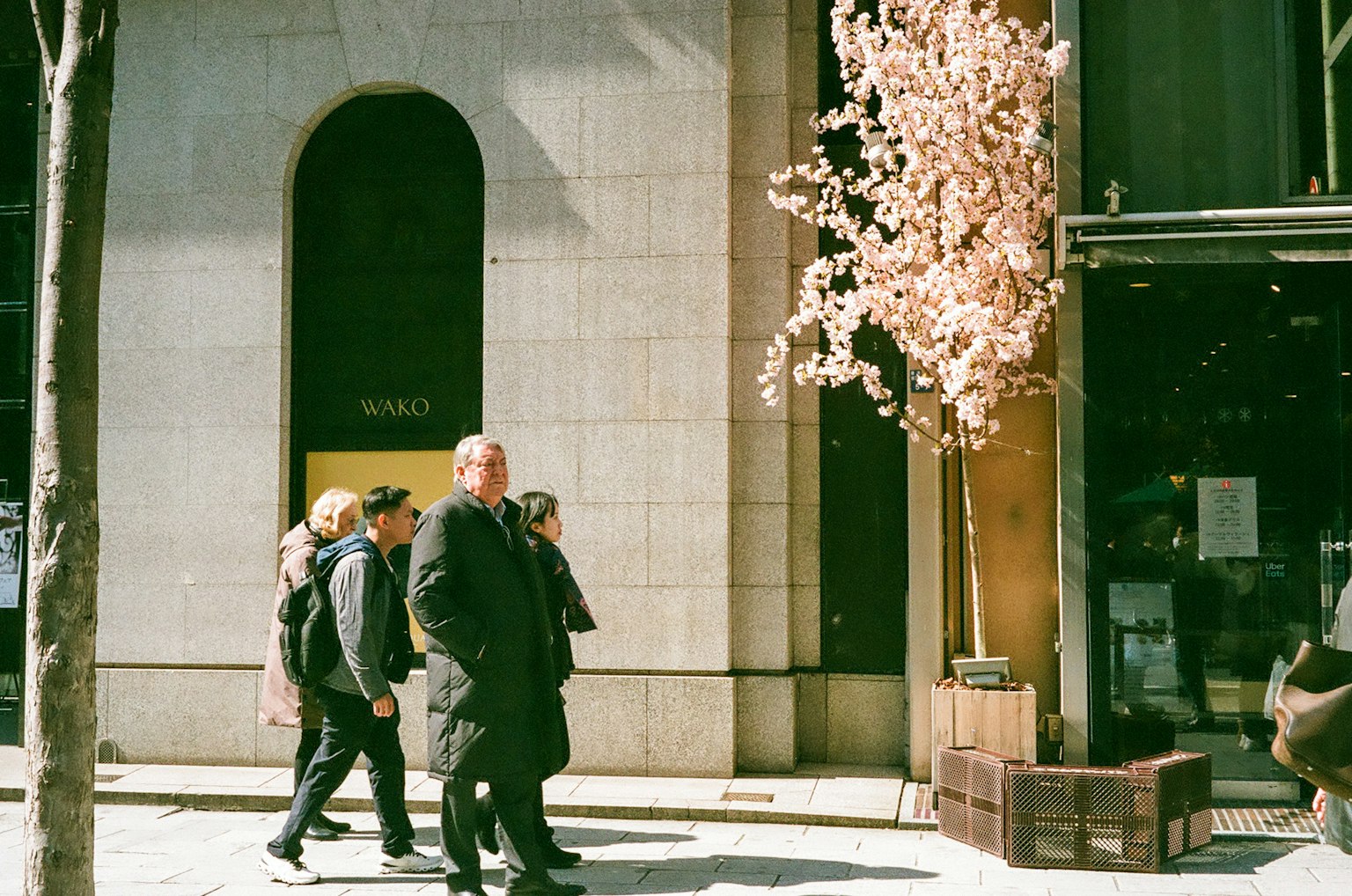 Personas caminando por la calle con un árbol de cerezo
