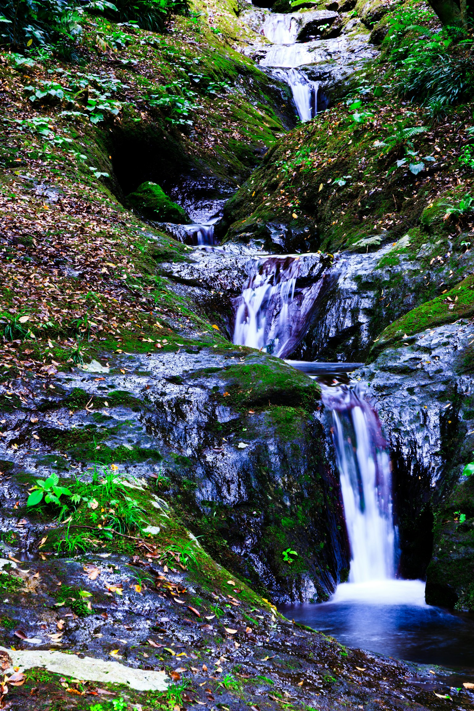 Schöne Wasserfallszene mit einem Bach, umgeben von grünem Moos