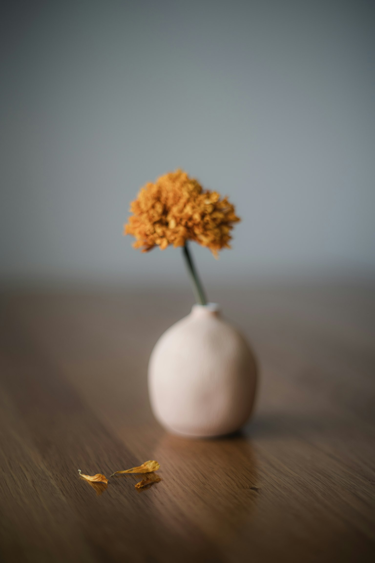 Eine weiße Vase mit einer orangefarbenen Blume steht auf einem Holztisch