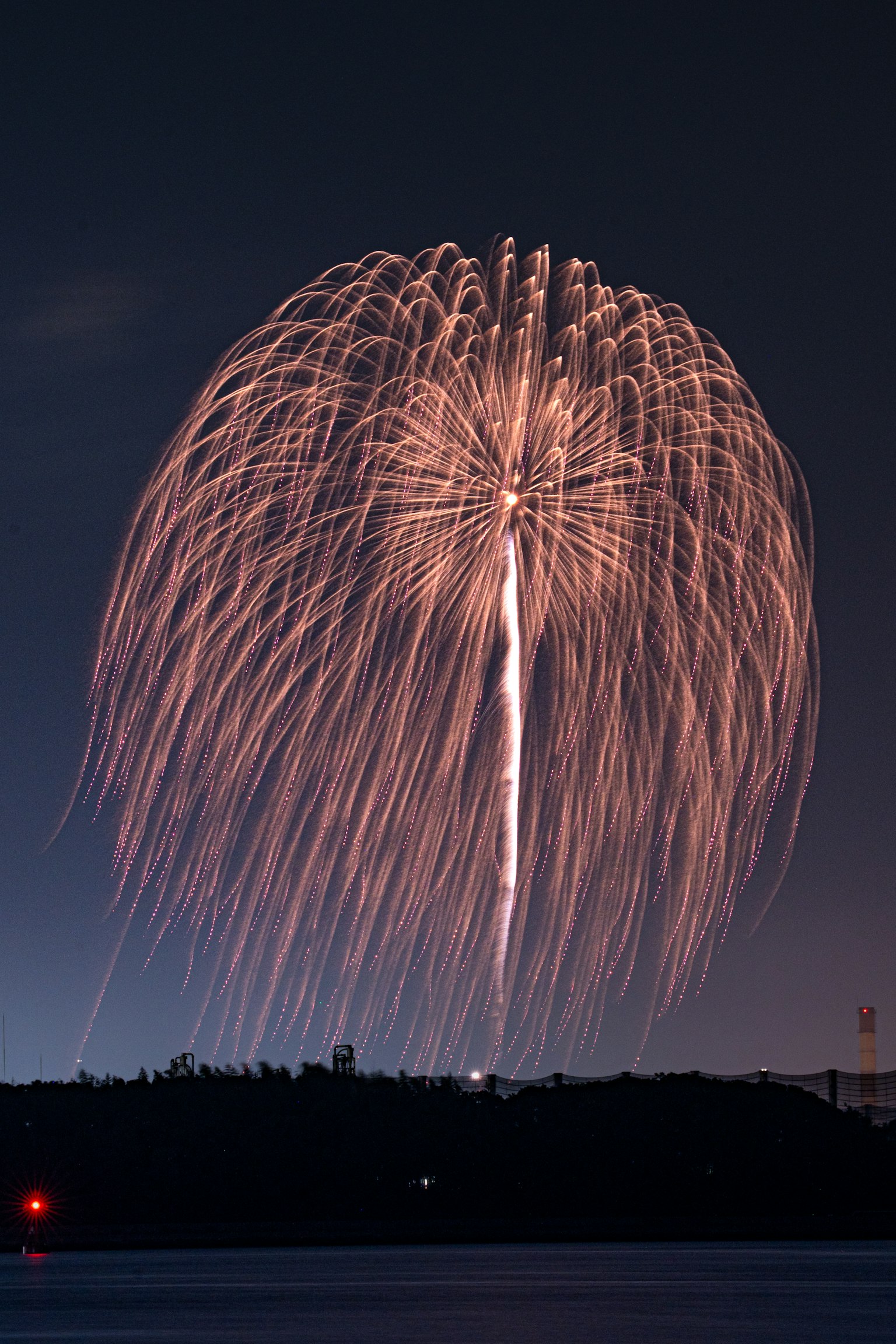 Schöne Feuerwerk-Show, die sich am Nachthimmel entfaltet
