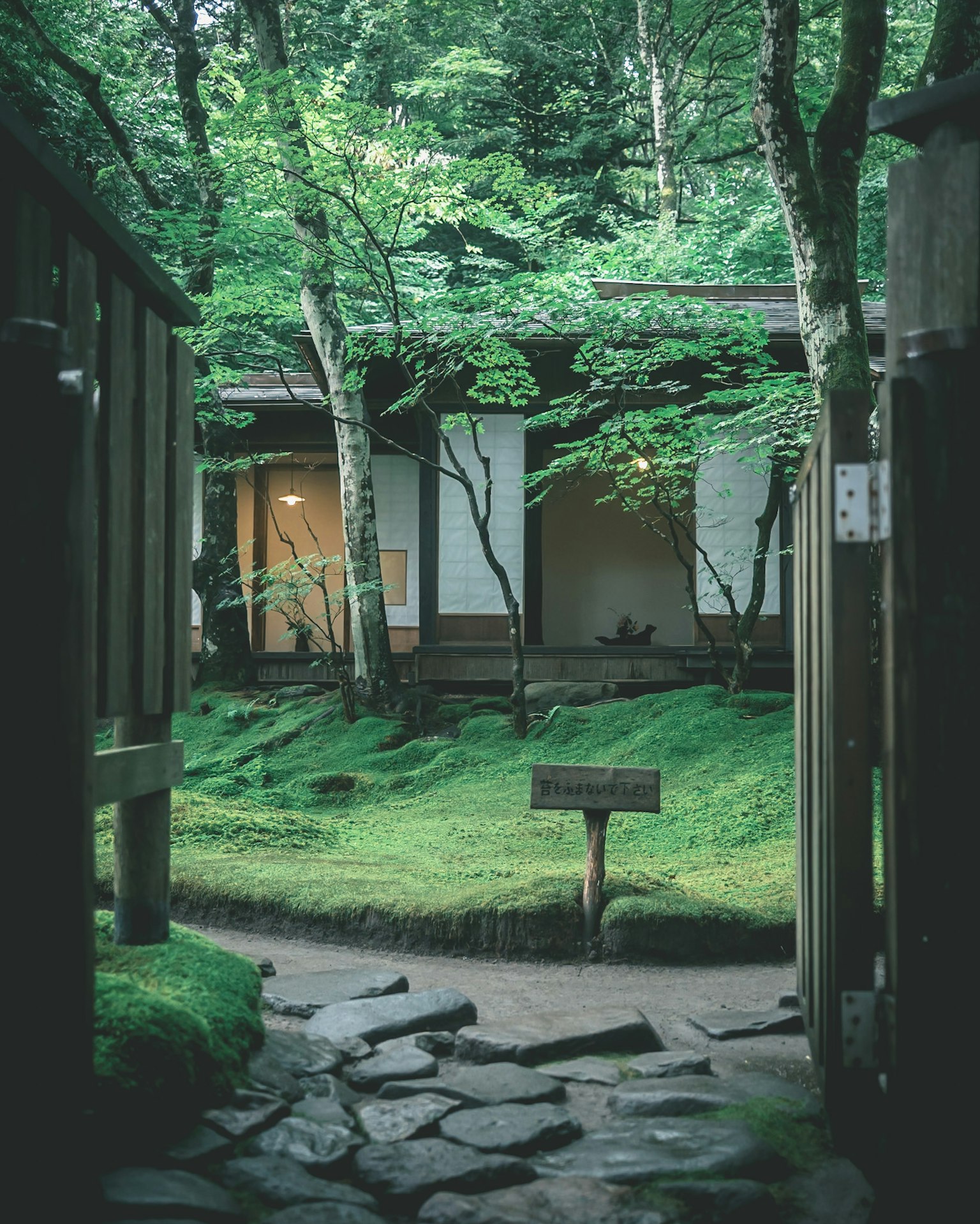 Entrada a un tranquilo jardín japonés con musgo verde y un camino de piedra