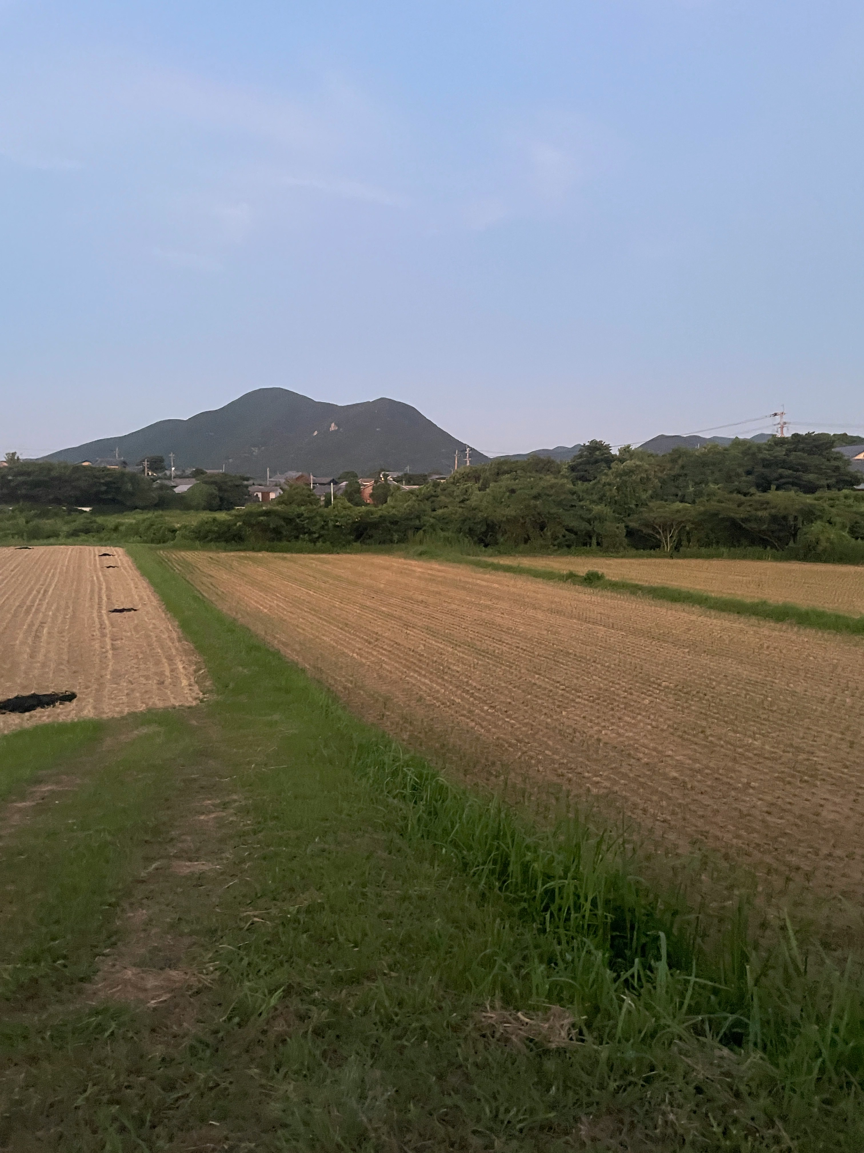 畑の畝と緑の草地、遠くに山が見える散歩道