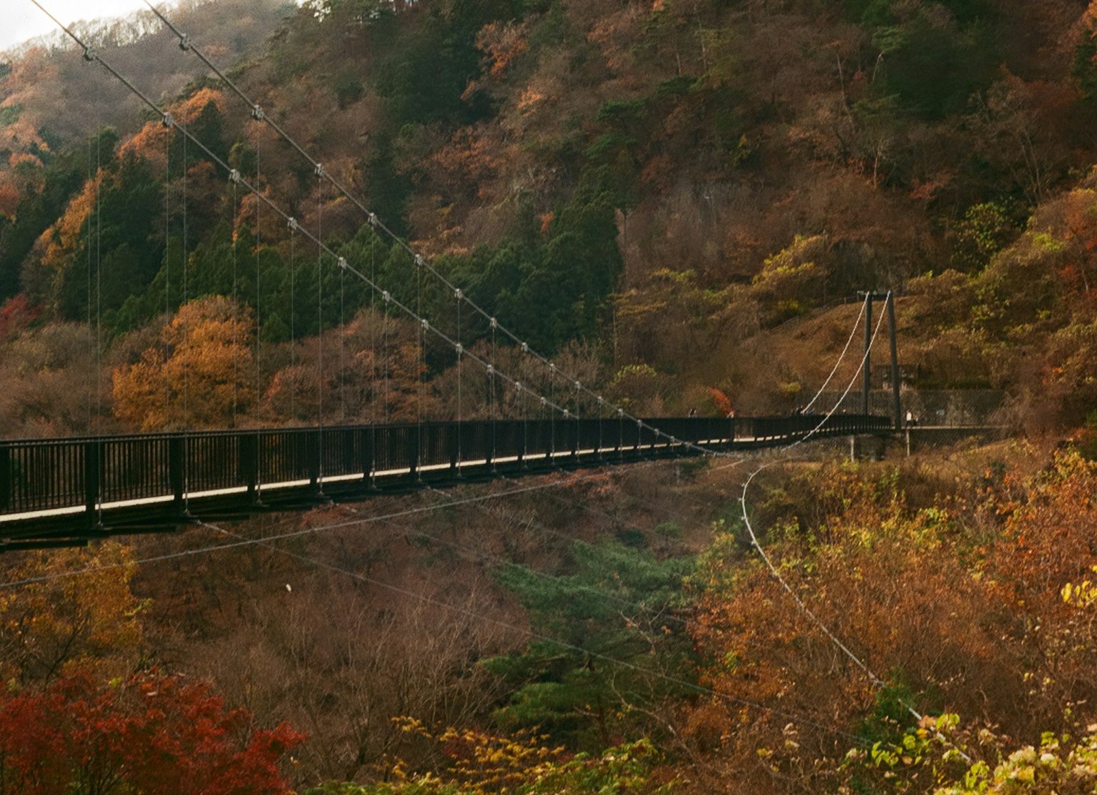 Ponte sospeso circondato da foglie autunnali e montagne