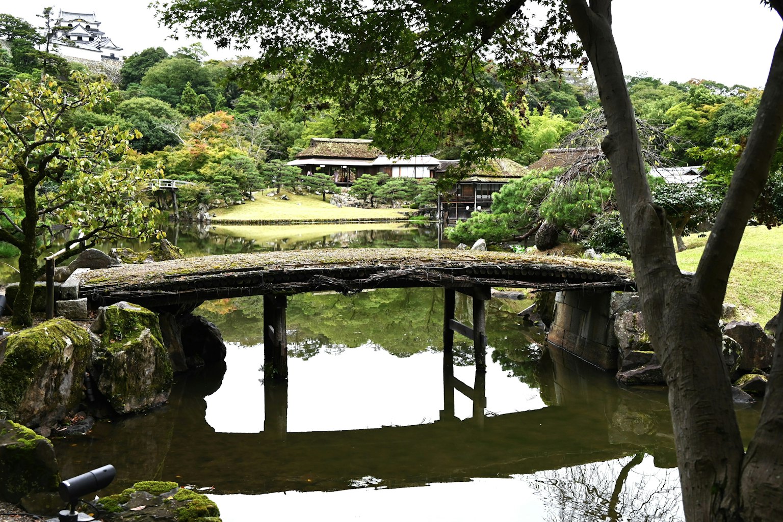 Serene Japanese garden scene with a bridge over a pond surrounded by lush greenery and traditional buildings