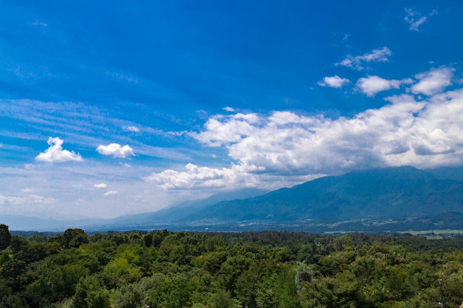 Paysage verdoyant avec des montagnes sous un ciel bleu vif et des nuages moelleux
