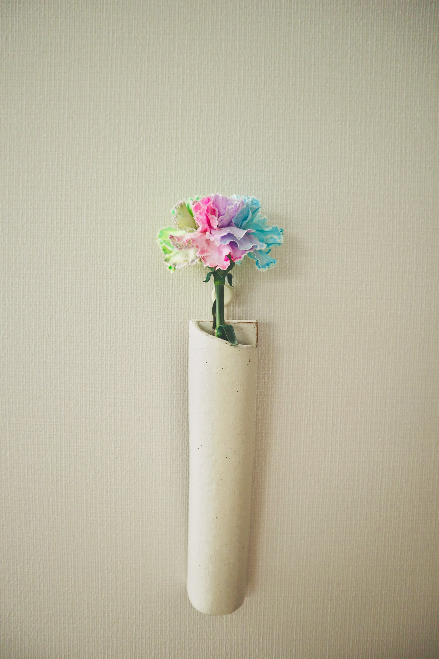 Fiori colorati in un semplice vaso da parete su sfondo bianco