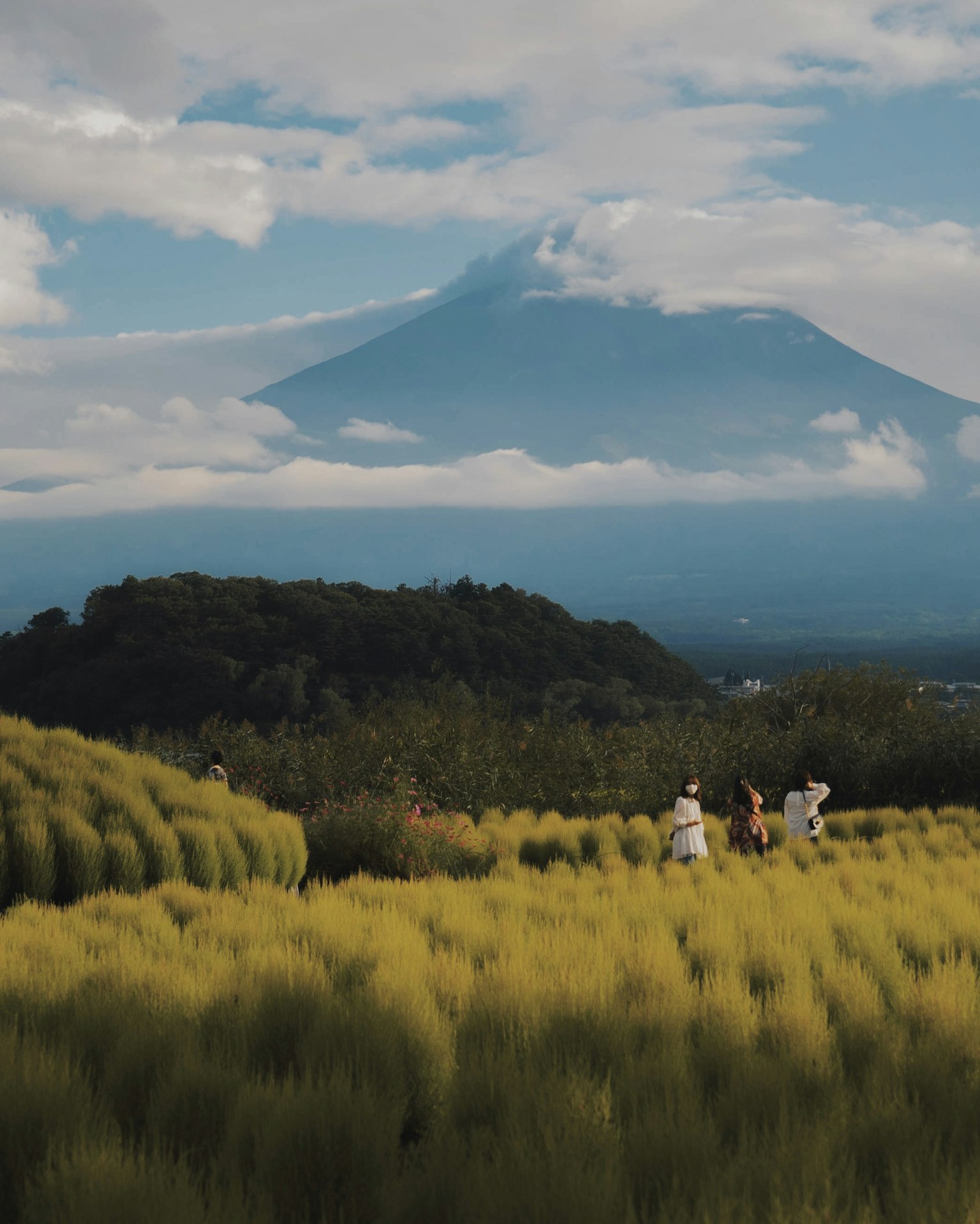 Paesaggio rurale pittoresco con il Monte Fuji e persone che lavorano in un campo di grano