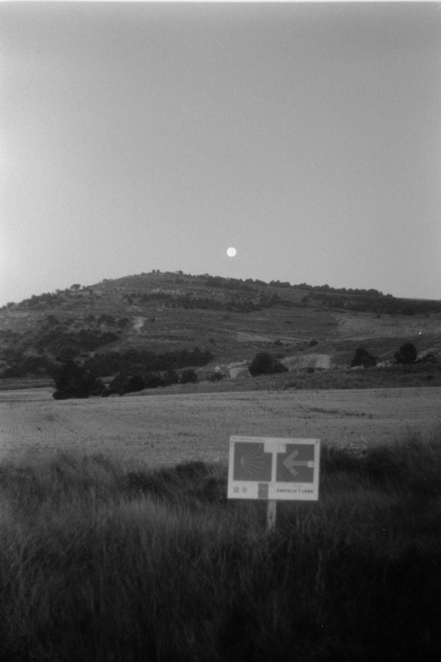 Cartel en un campo de hierba con una colina y la luna de fondo