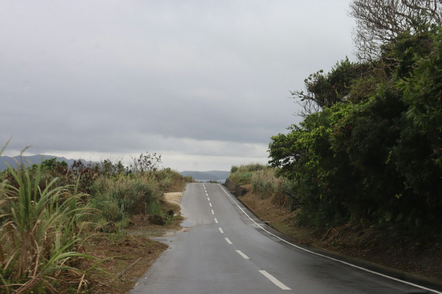 Una strada tranquilla sotto un cielo nuvoloso con vegetazione verde circostante
