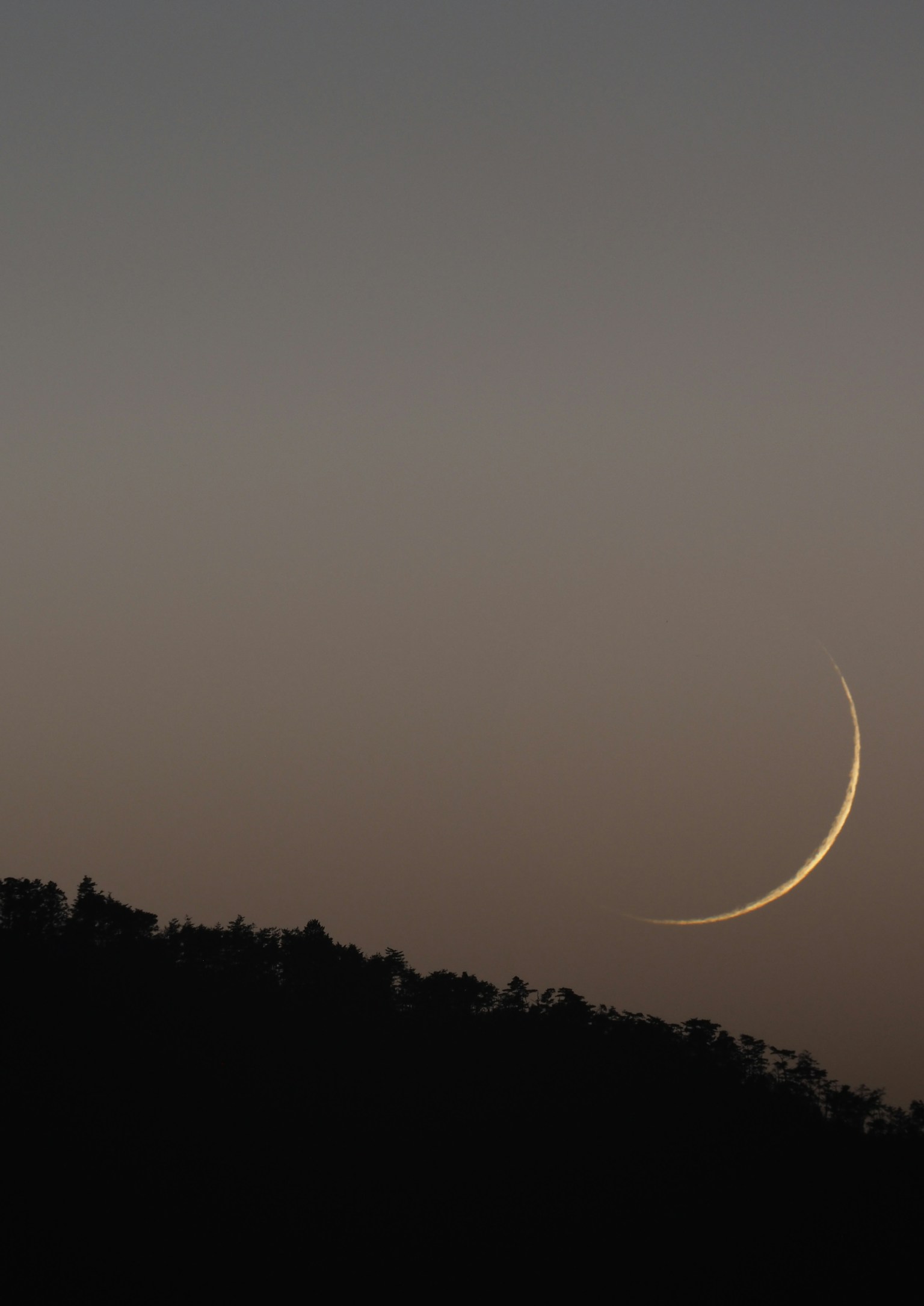 photo-ehy9BJh8SiWktfp36Hzu-image