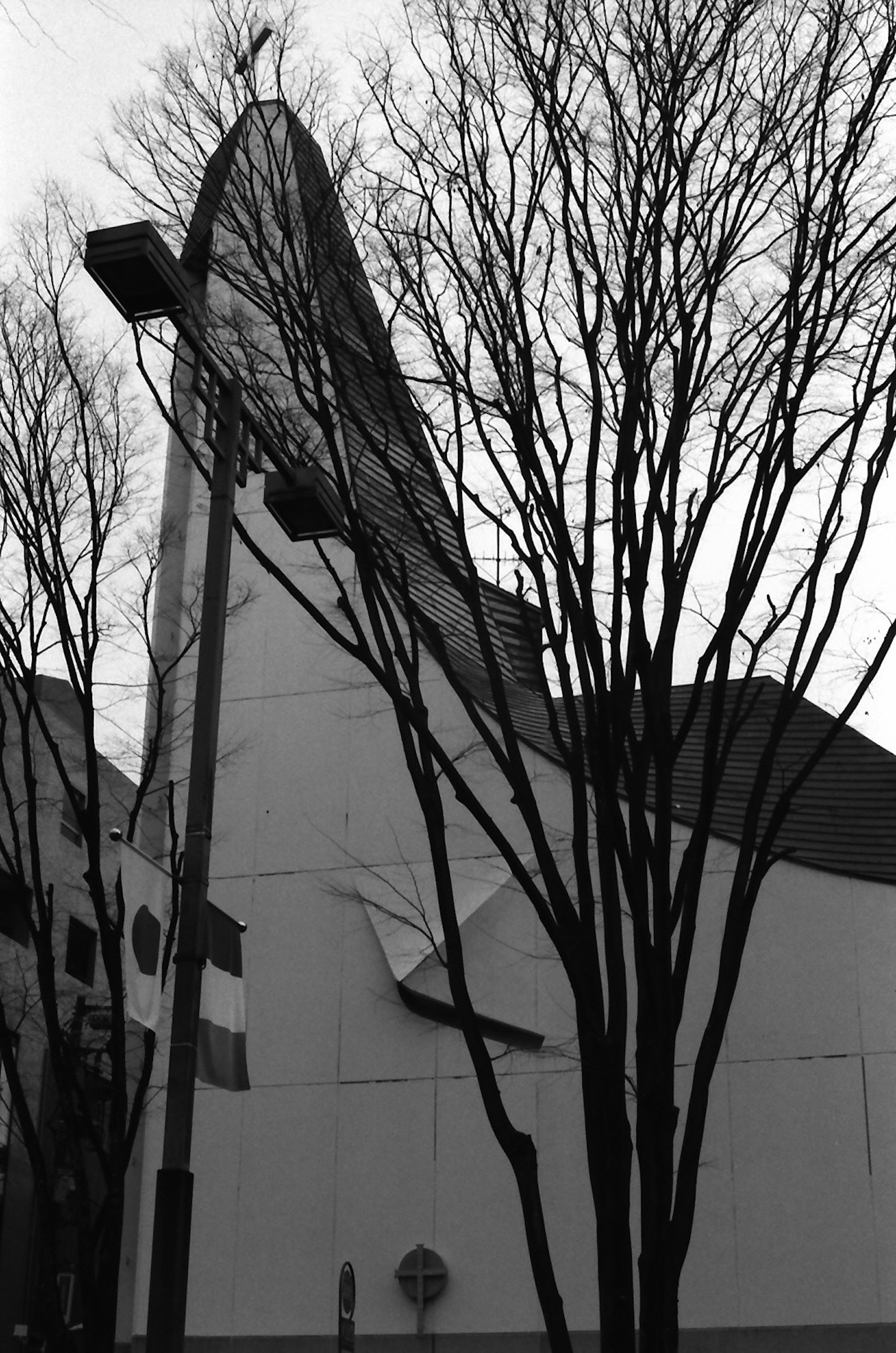 Vista lateral de un edificio moderno con árboles desnudos de invierno