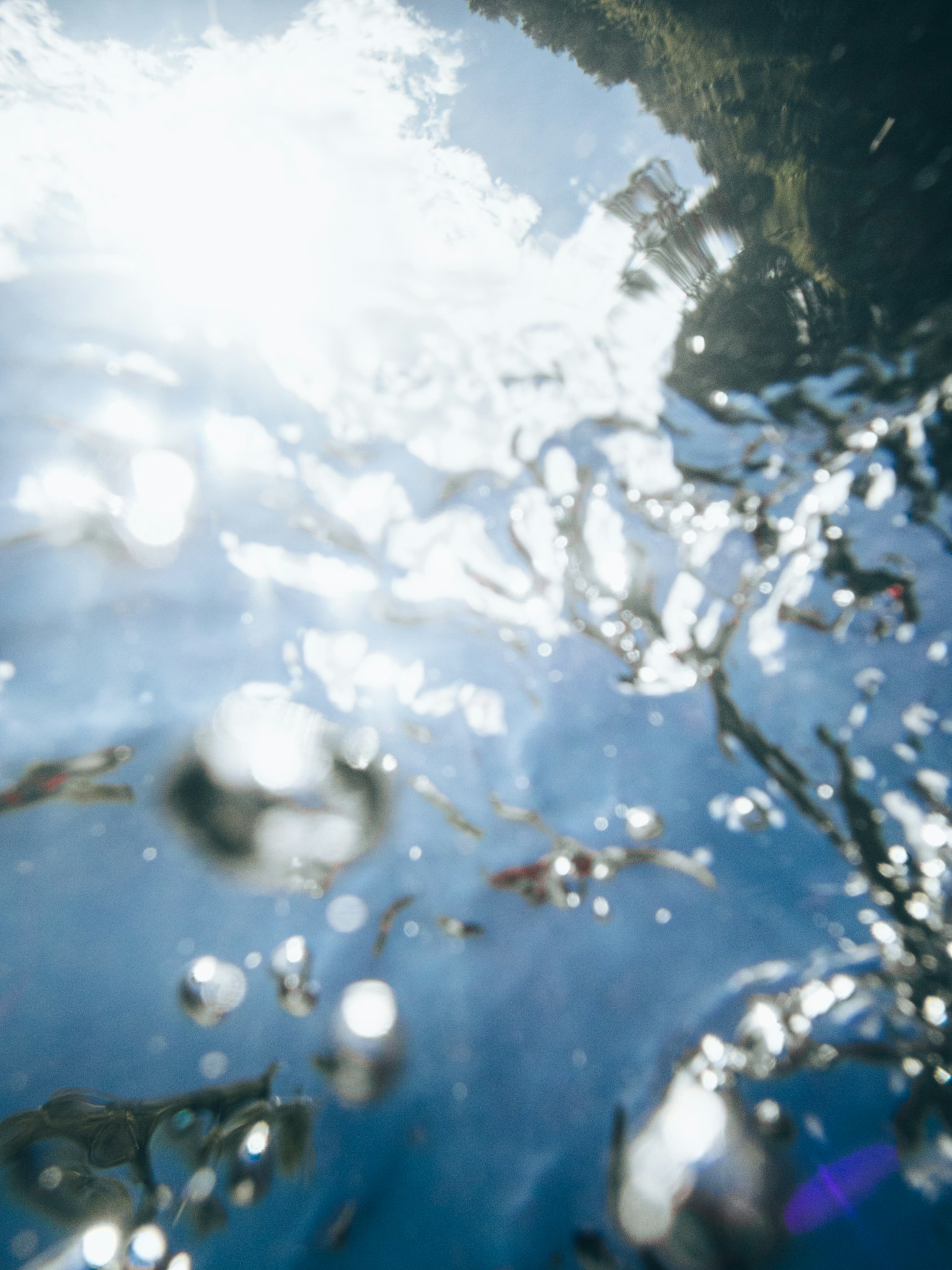 Unterwasseransicht mit blauem Wasser und Lichtreflexionen