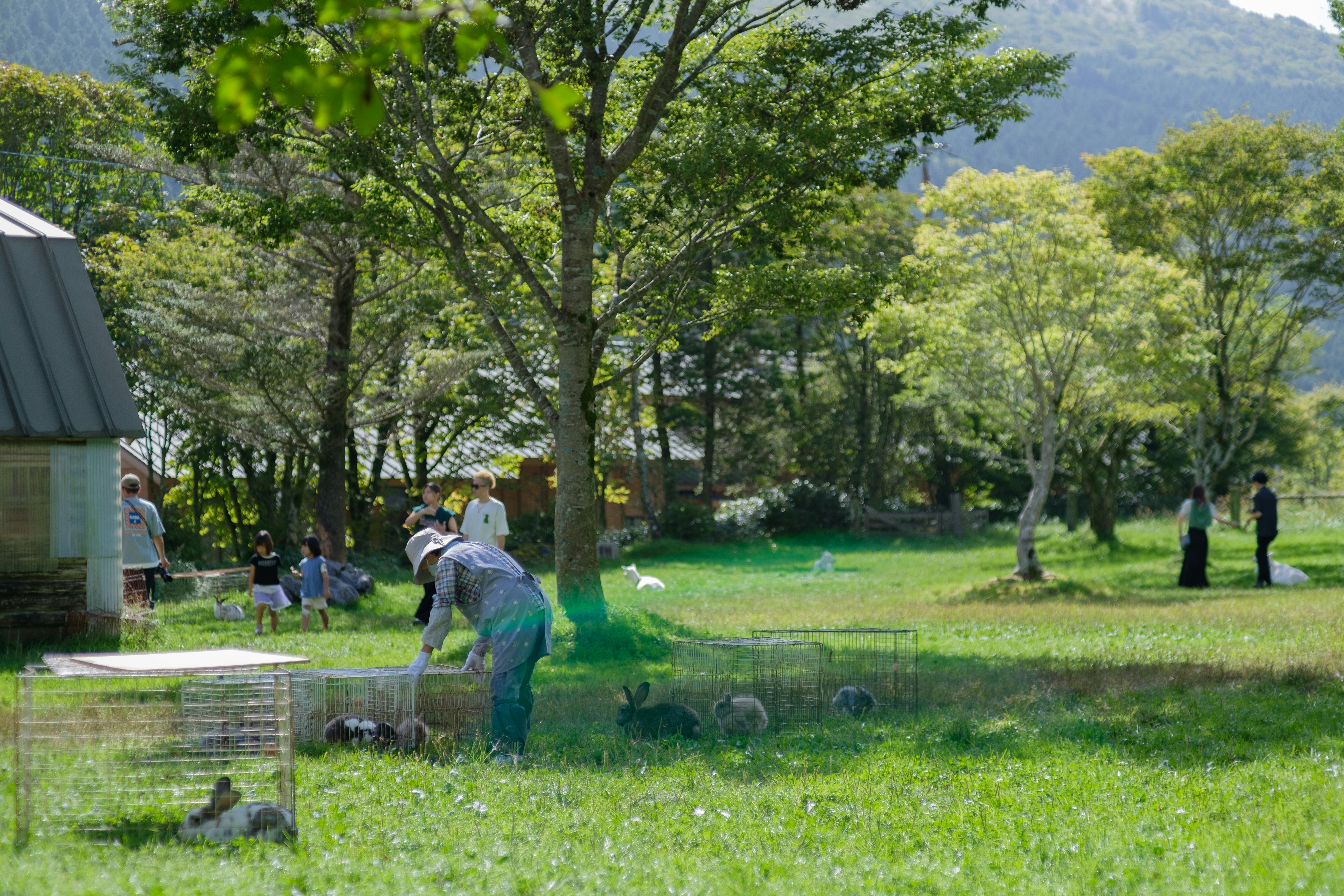 緑の芝生の公園で作業する人々と小屋