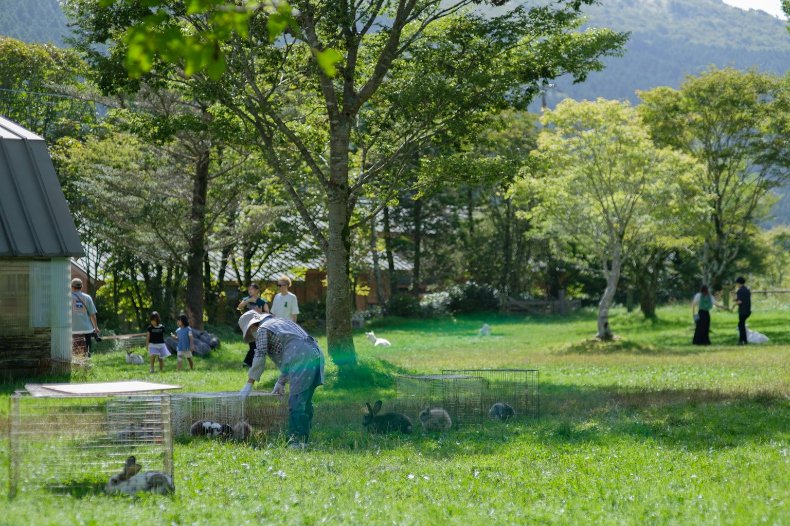Persone che lavorano in una fattoria verde con animali e alberi in un ambiente naturale
