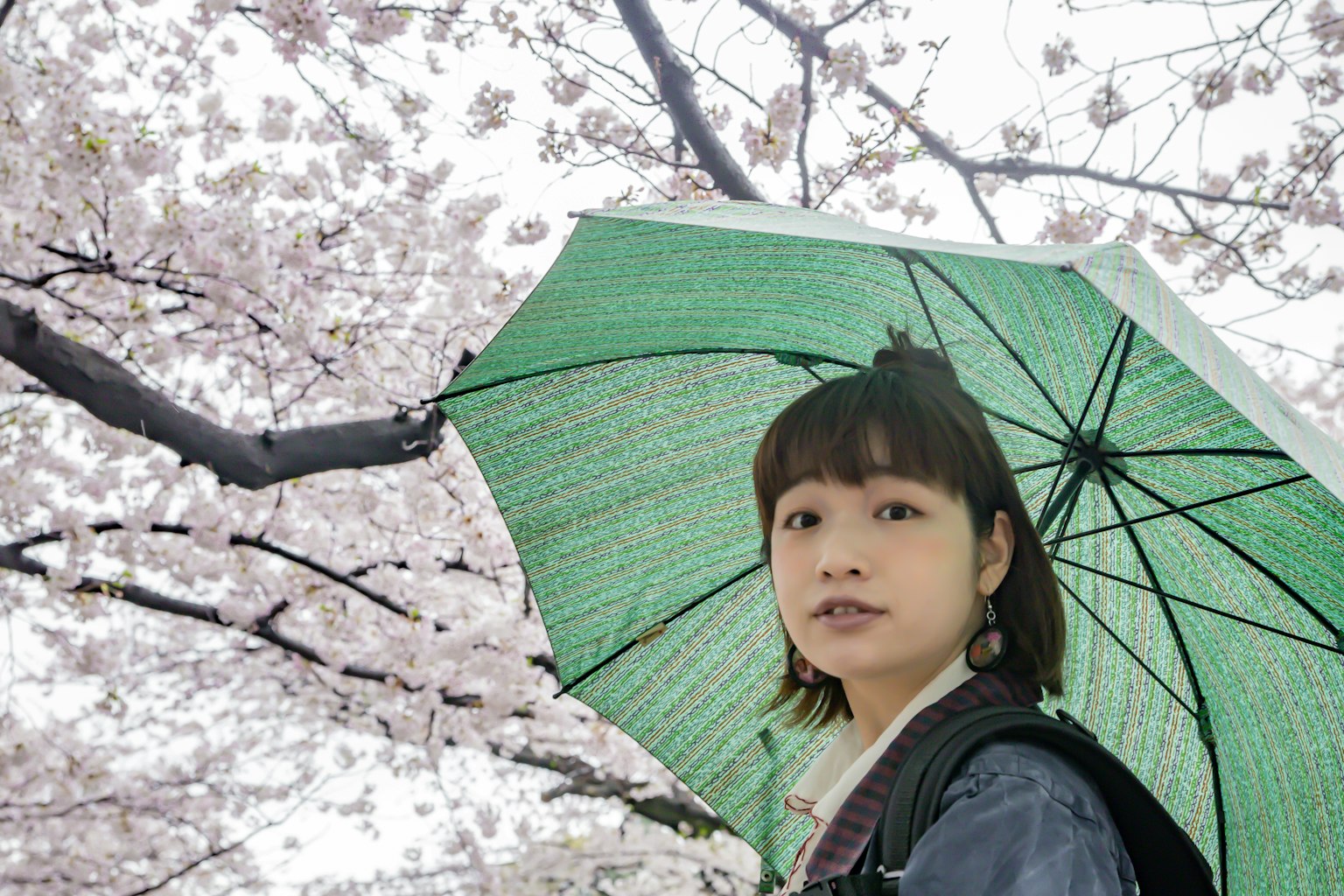 Donna con un ombrello verde sotto i ciliegi in fiore