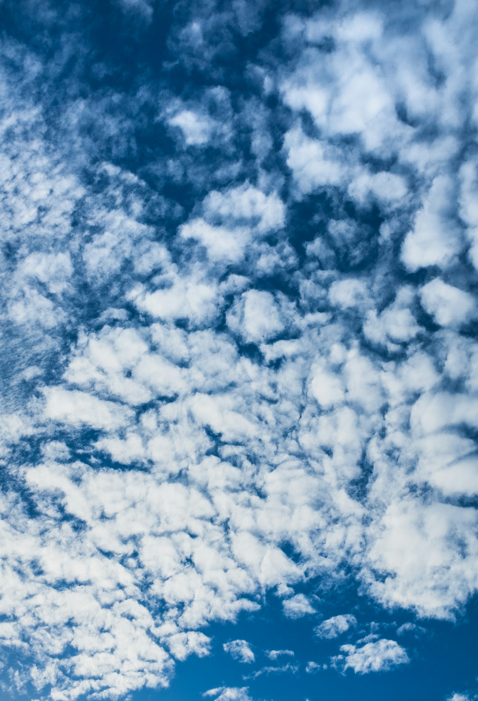 Langit luas dipenuhi awan putih berbulu di latar belakang biru