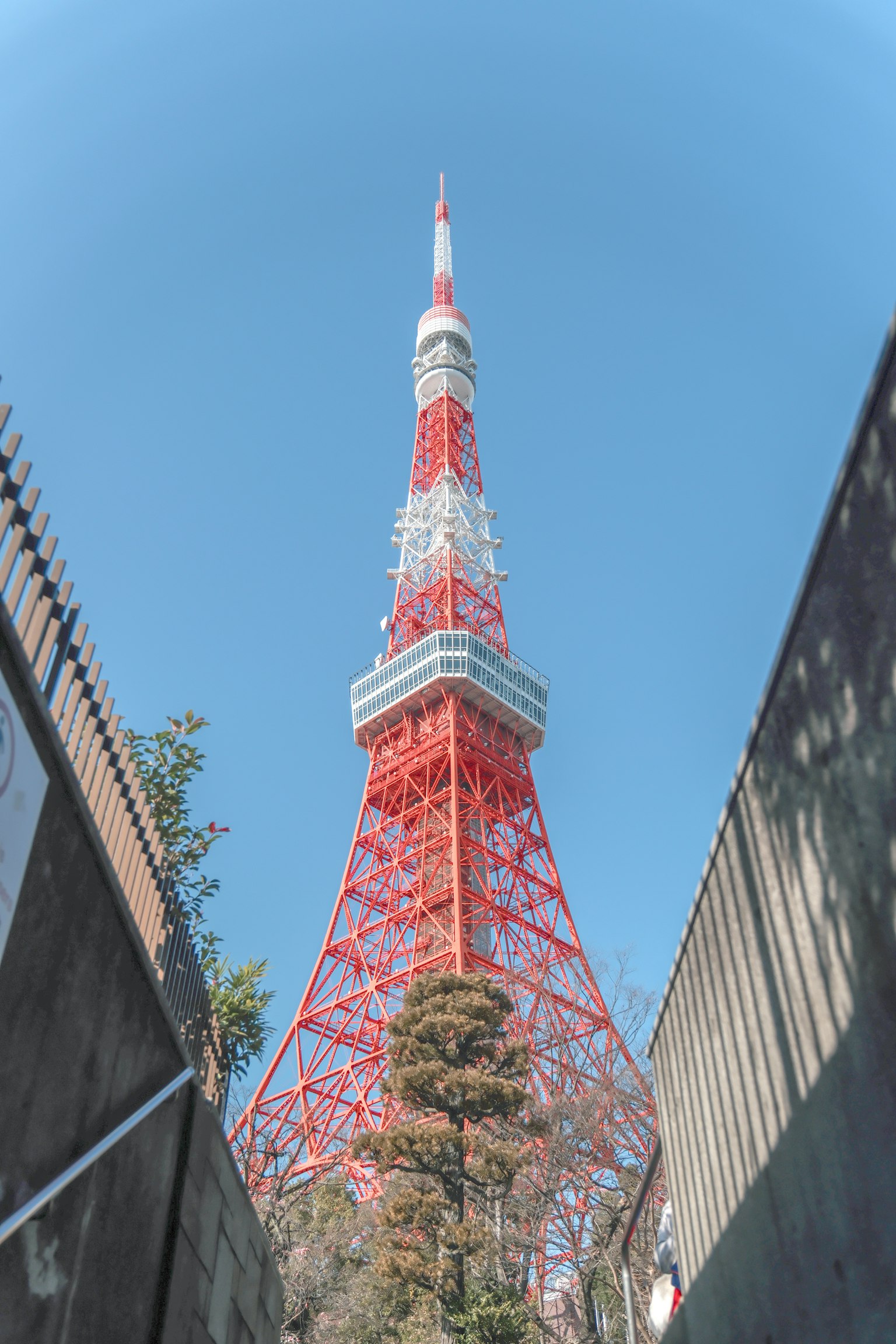 Torre di Tokyo che svetta con una struttura rossa contro un cielo blu