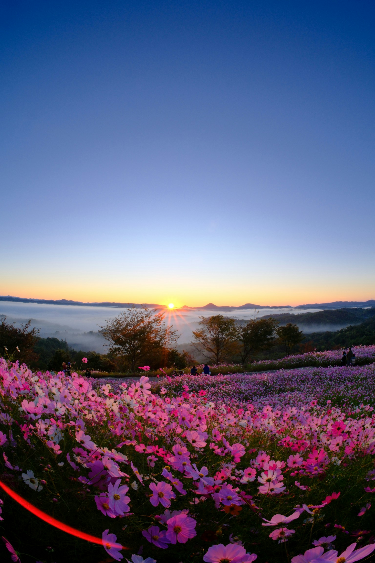 photo-eiodXLP6WGrpaRMXUIVn-image