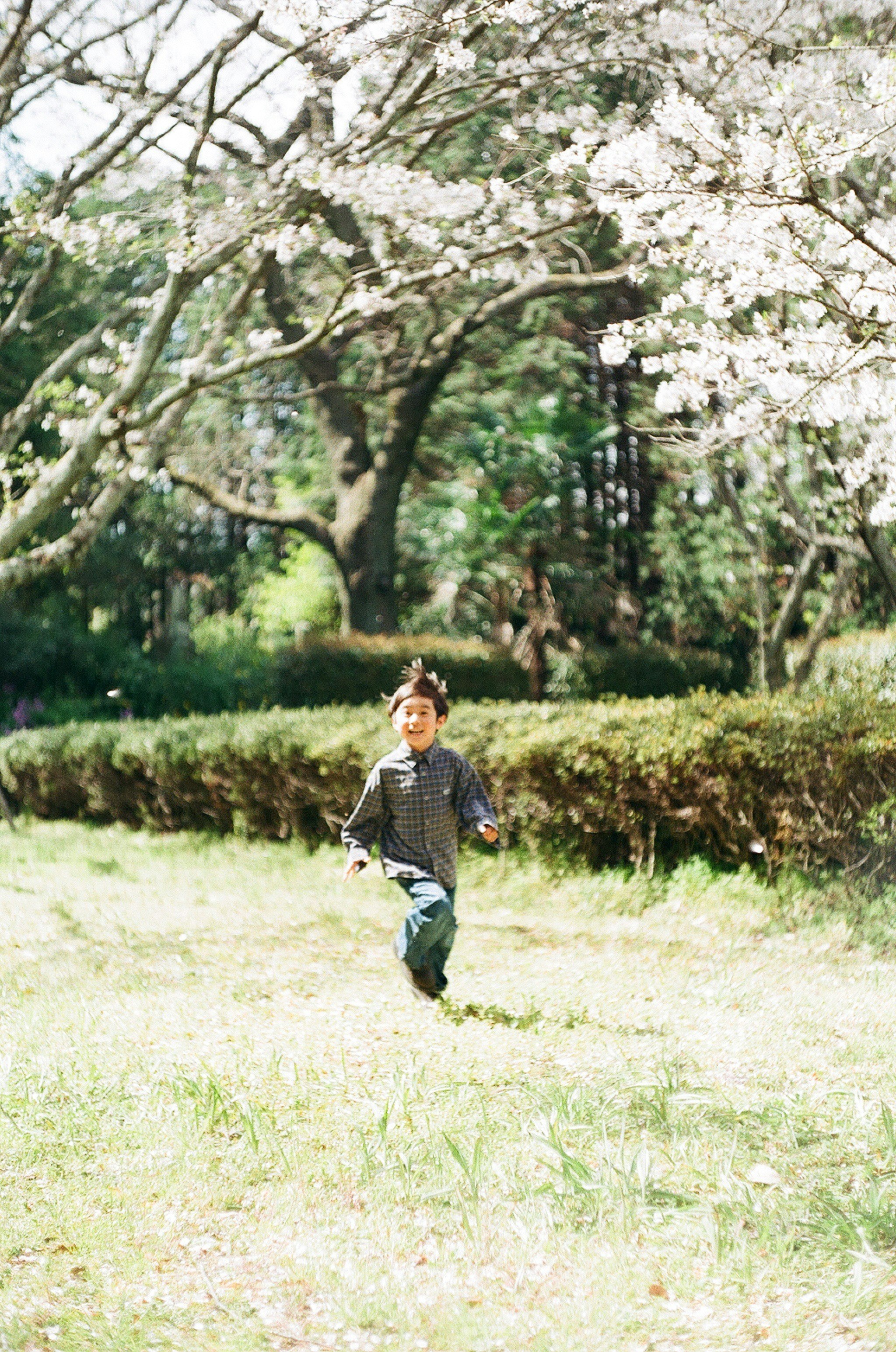 花咲く庭を駆ける子どもの姿