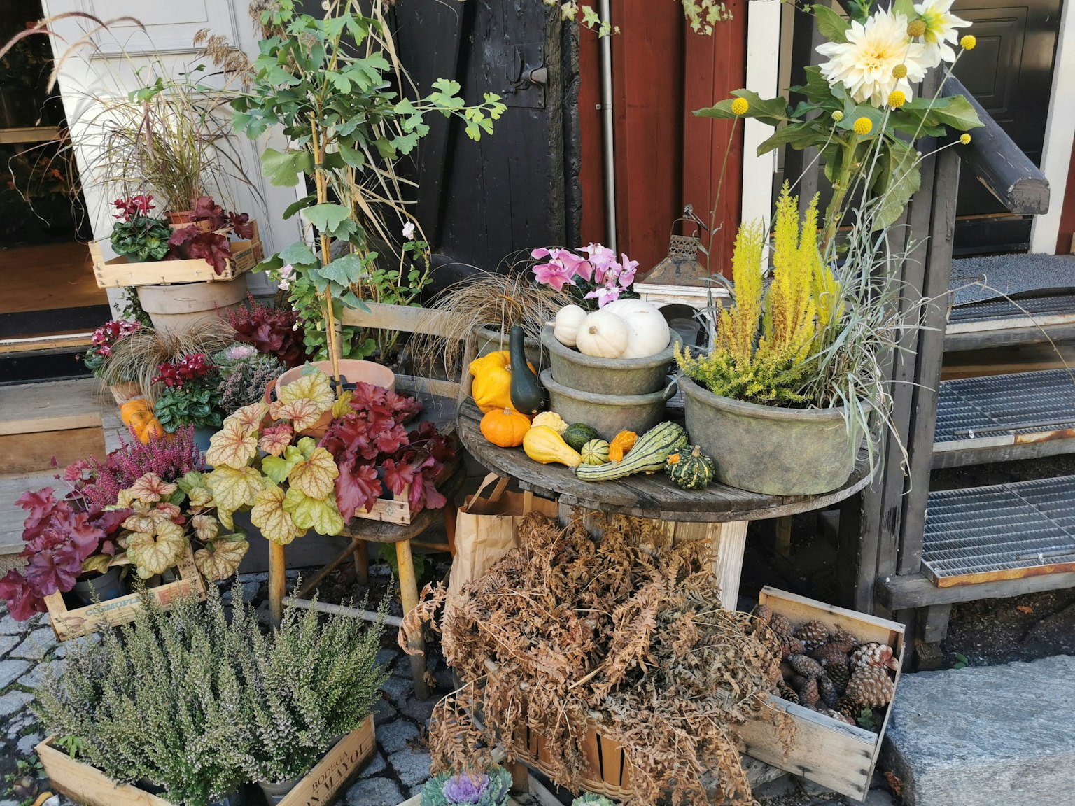 Esposizione di tavolo all'aperto con piante e frutti colorati