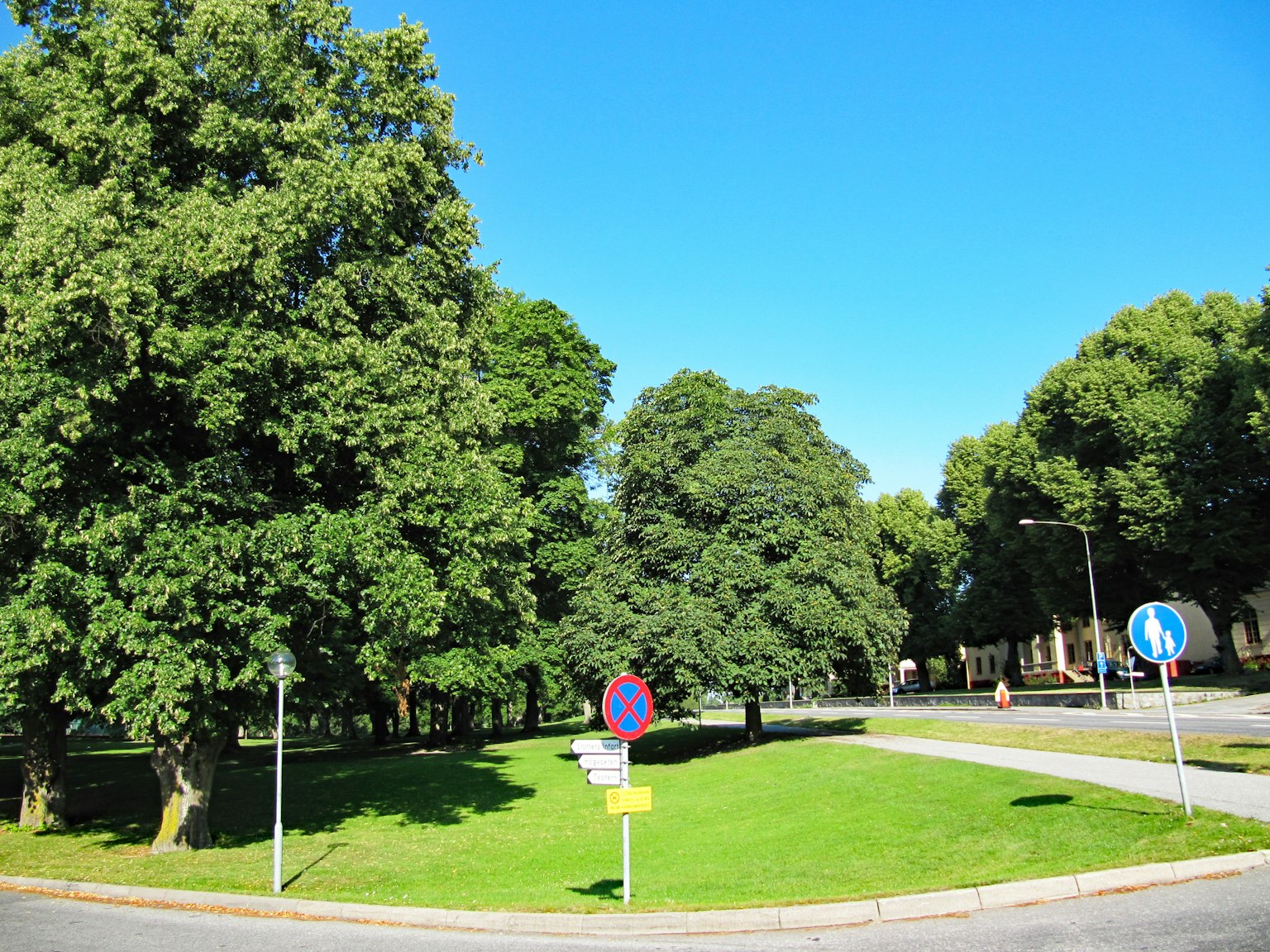Scène de parc verdoyant sous un ciel bleu avec de grands arbres et des panneaux de circulation