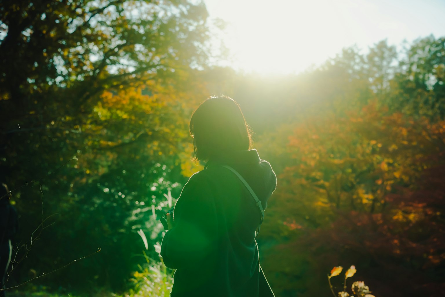 Silueta de una mujer de pie en un bosque de otoño iluminada por la luz del sol