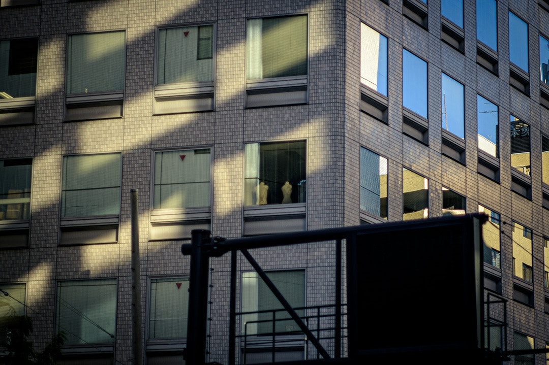 窓のある建物の外壁と中庭のような空間