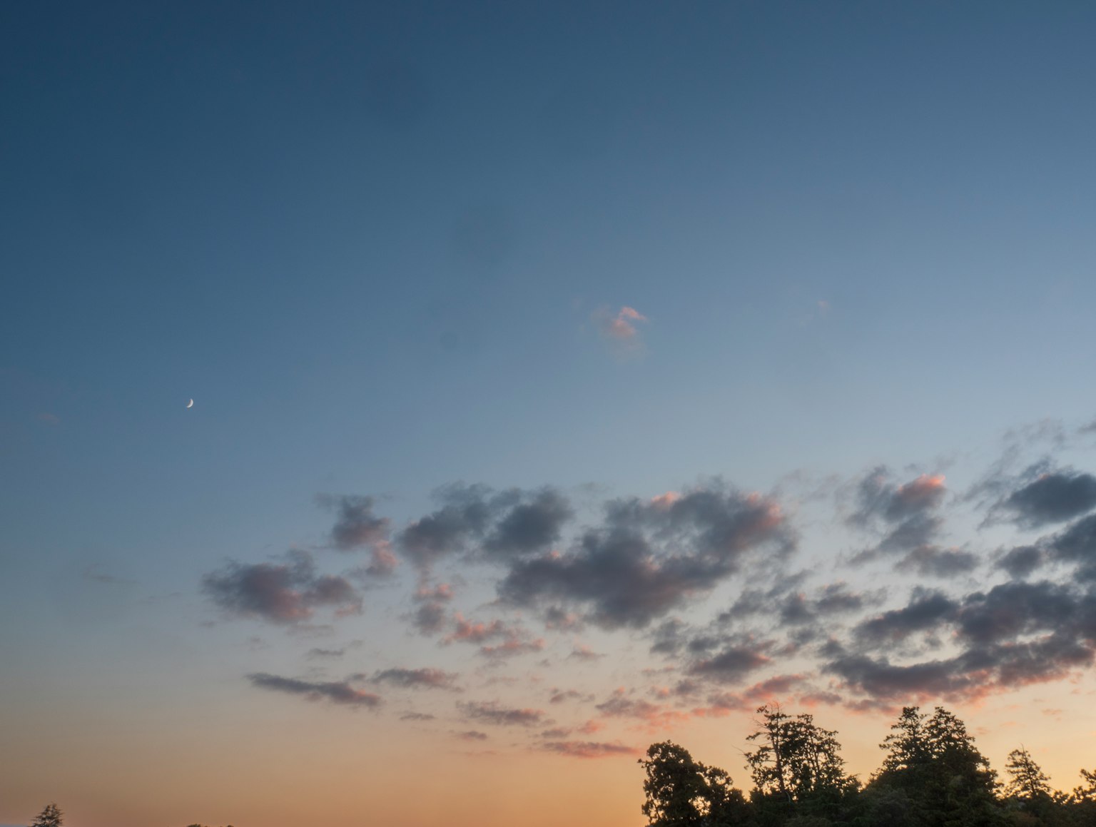 夕阳下的天空，云朵与弯月下的树木轮廓