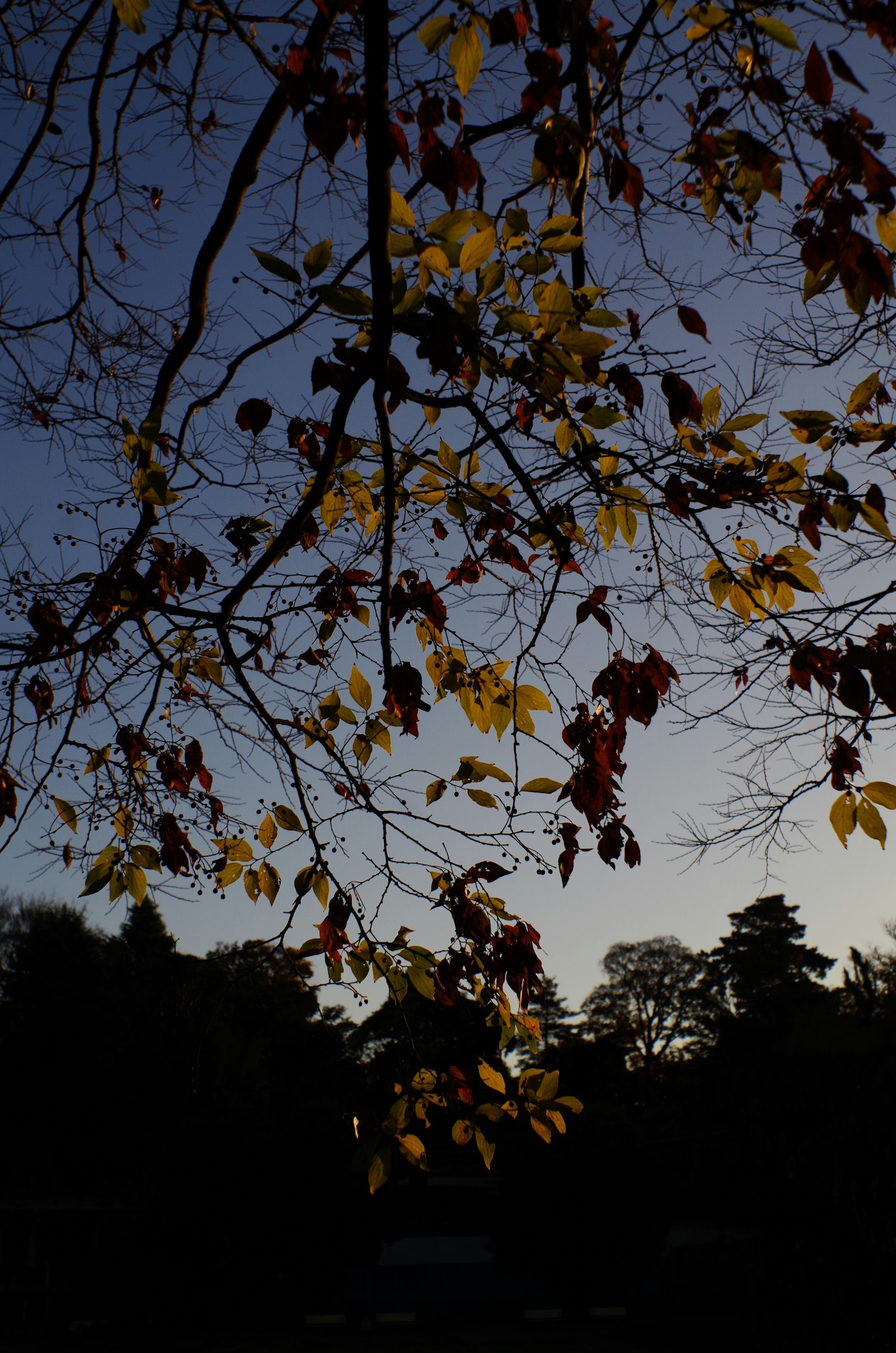 暗いグレーの背景