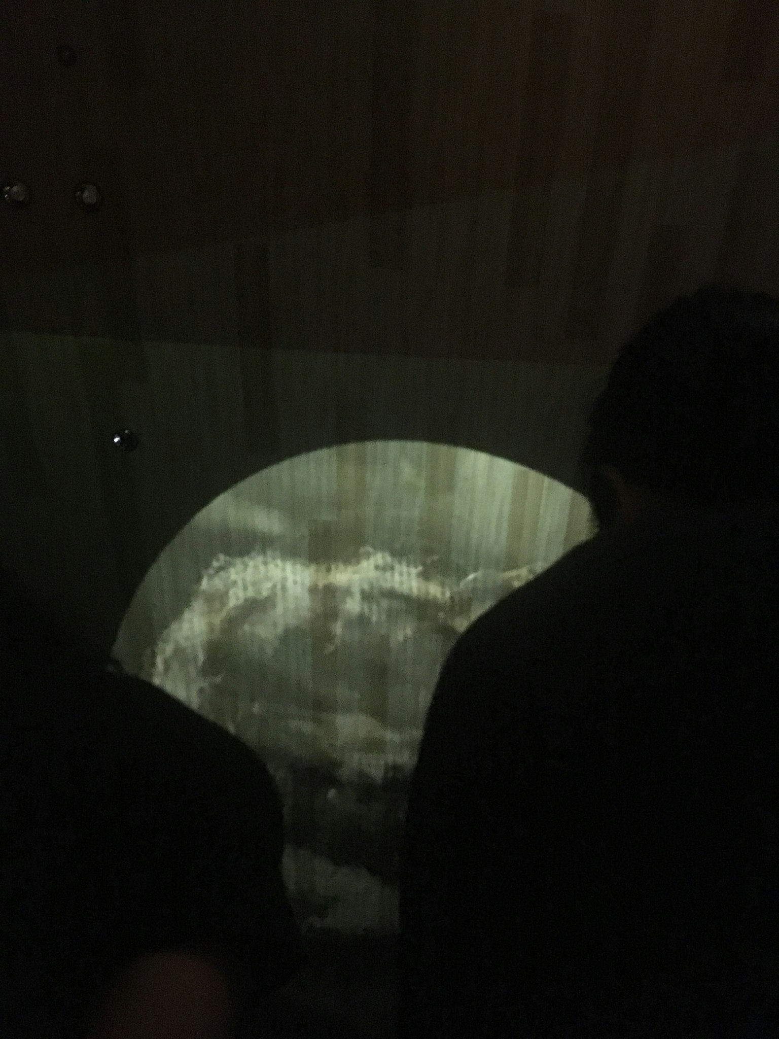 Siluetas de personas viendo una escena oceánica ondulada en un entorno oscuro